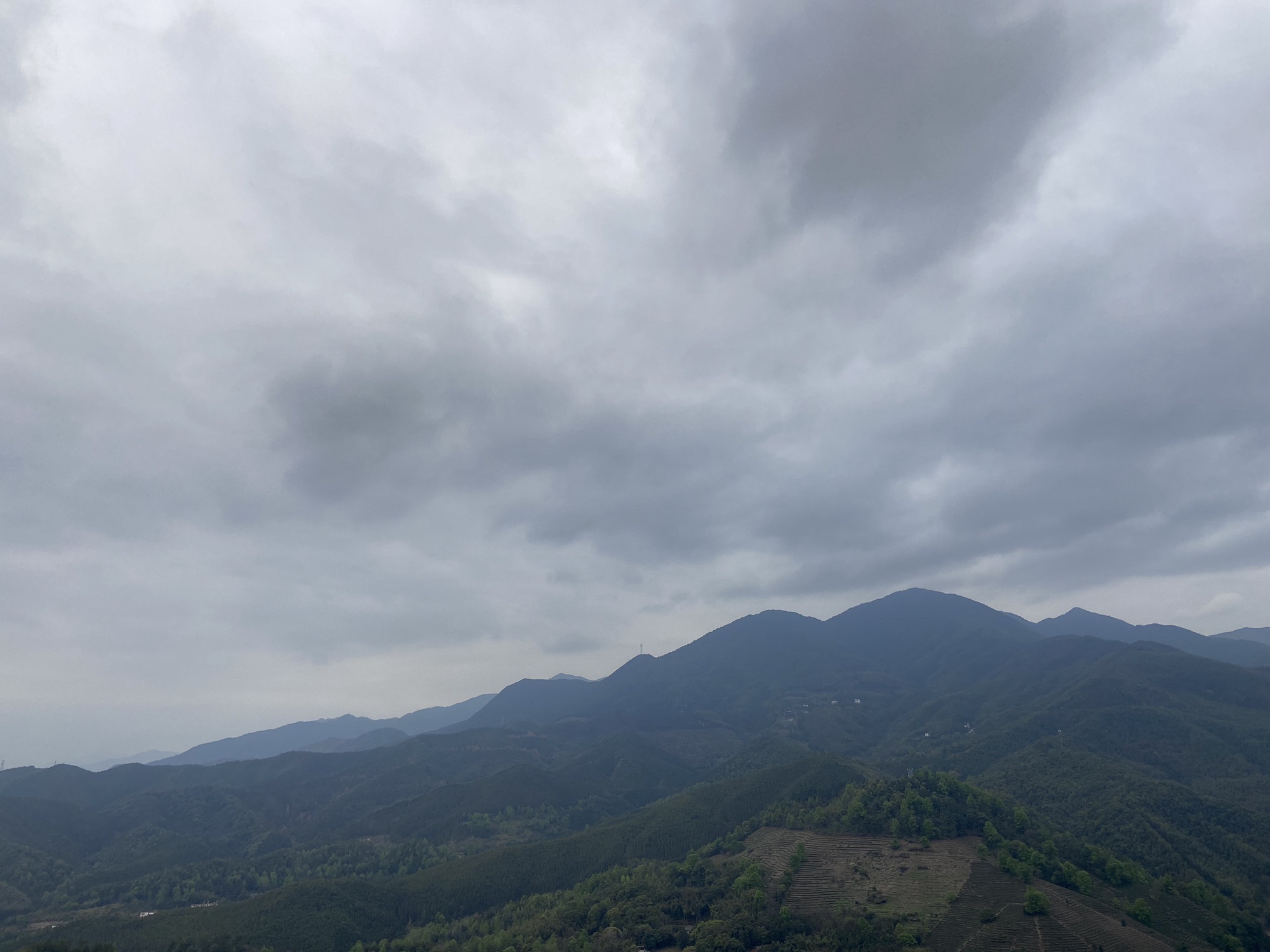 大余丫山旅游度假区旅行图片 1