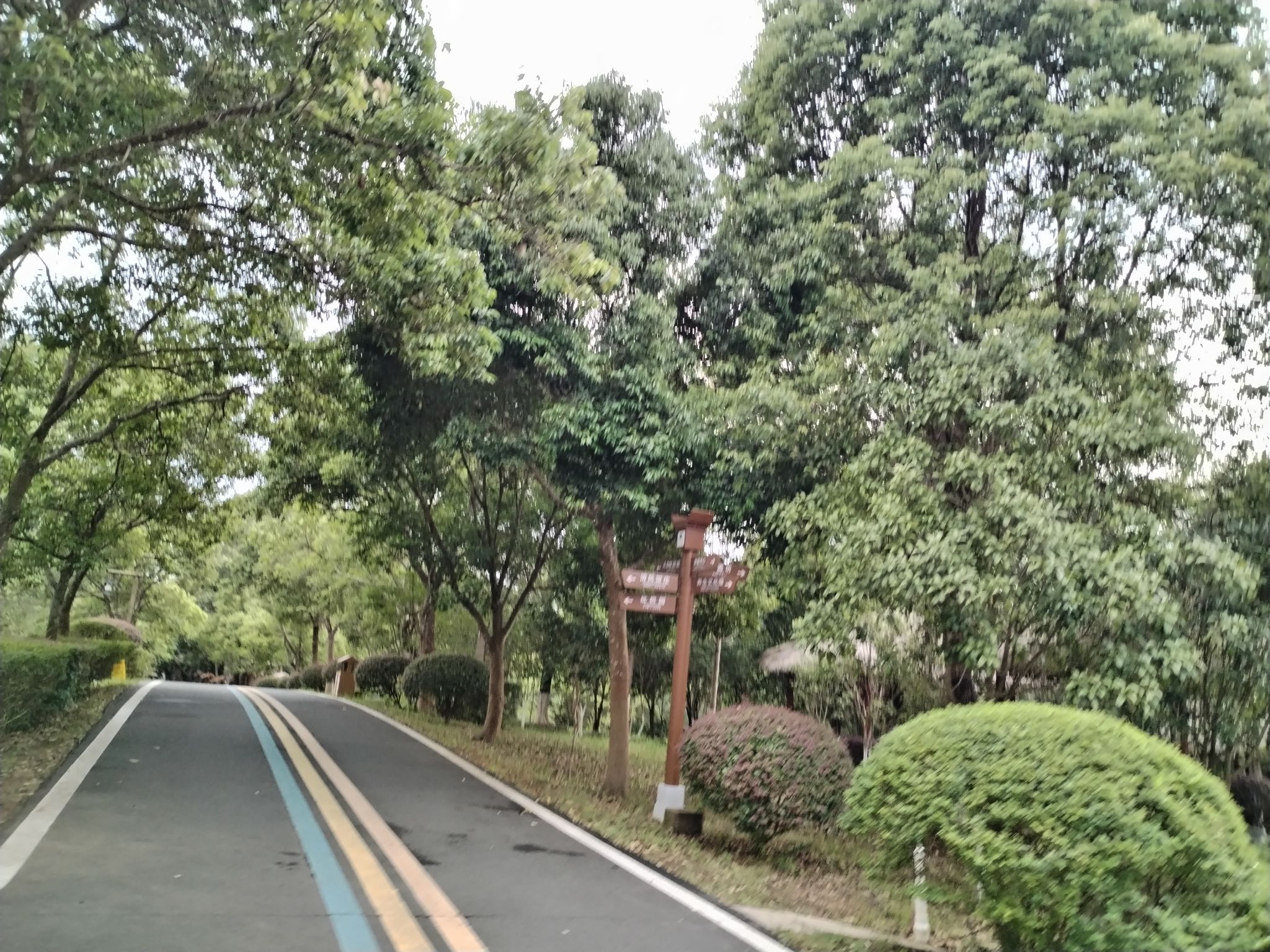 定南九曲度假村旅行图片 1