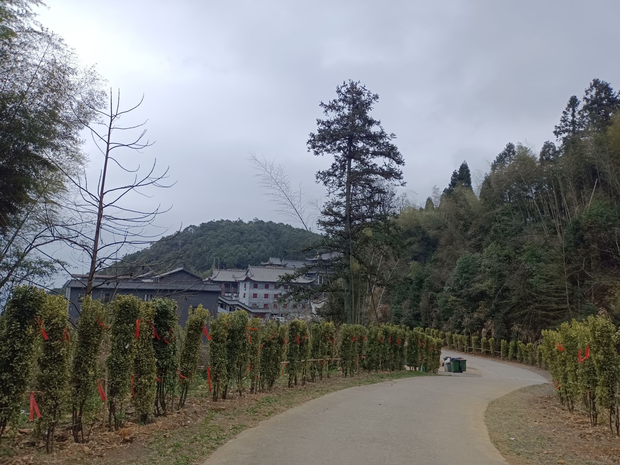 莲花山景区旅行图片 1