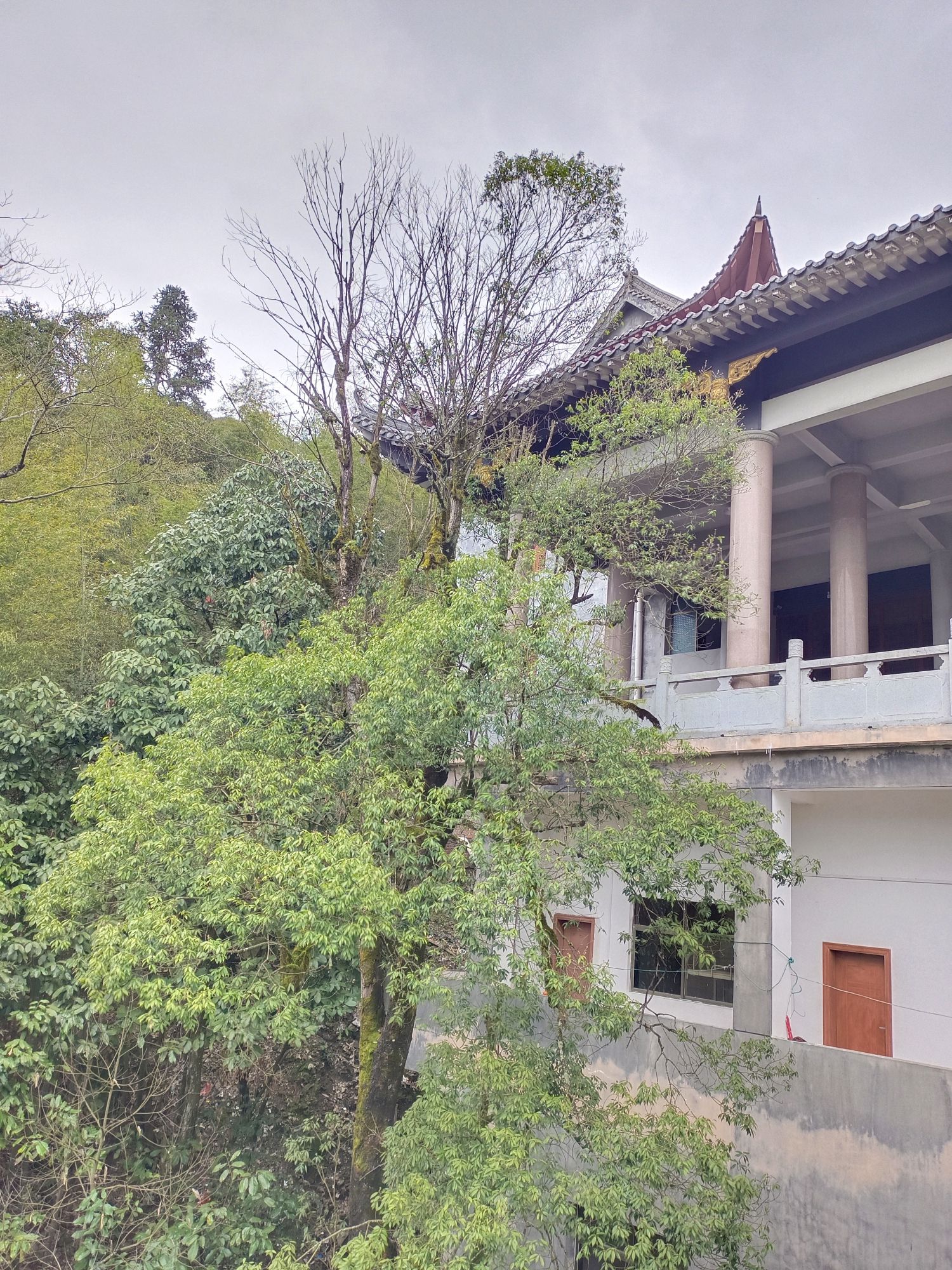 莲花山景区旅行图片 3