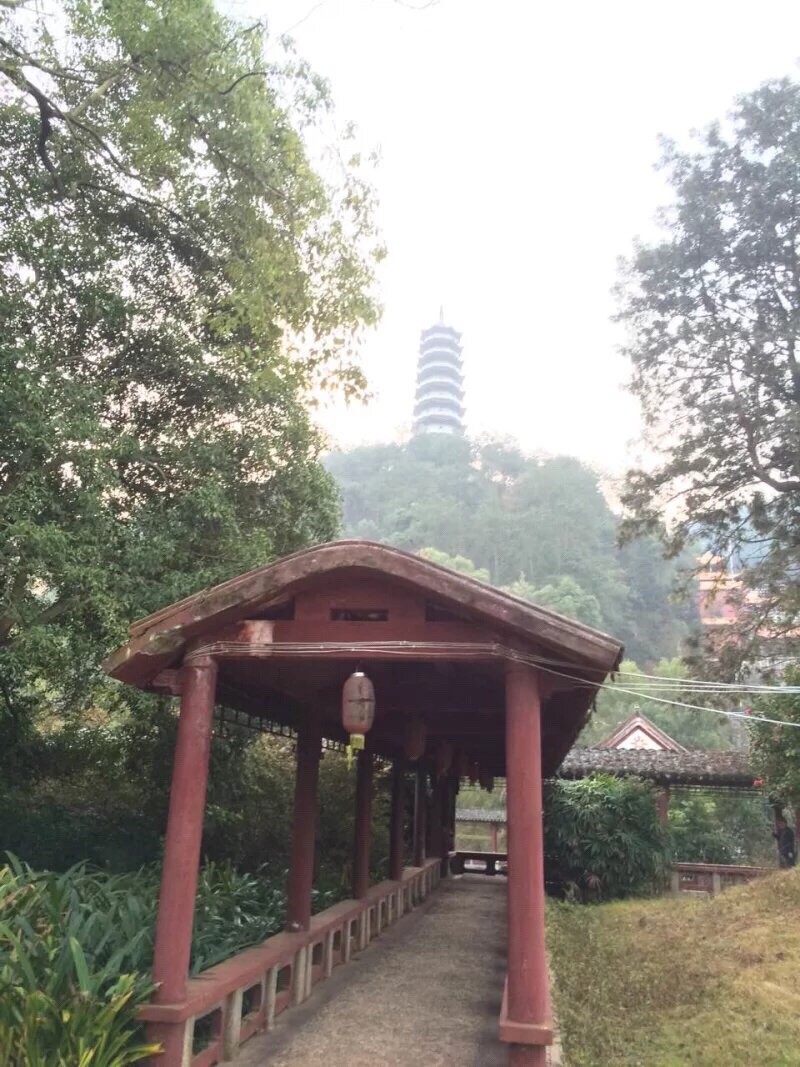 牡丹亭旅行图片 2