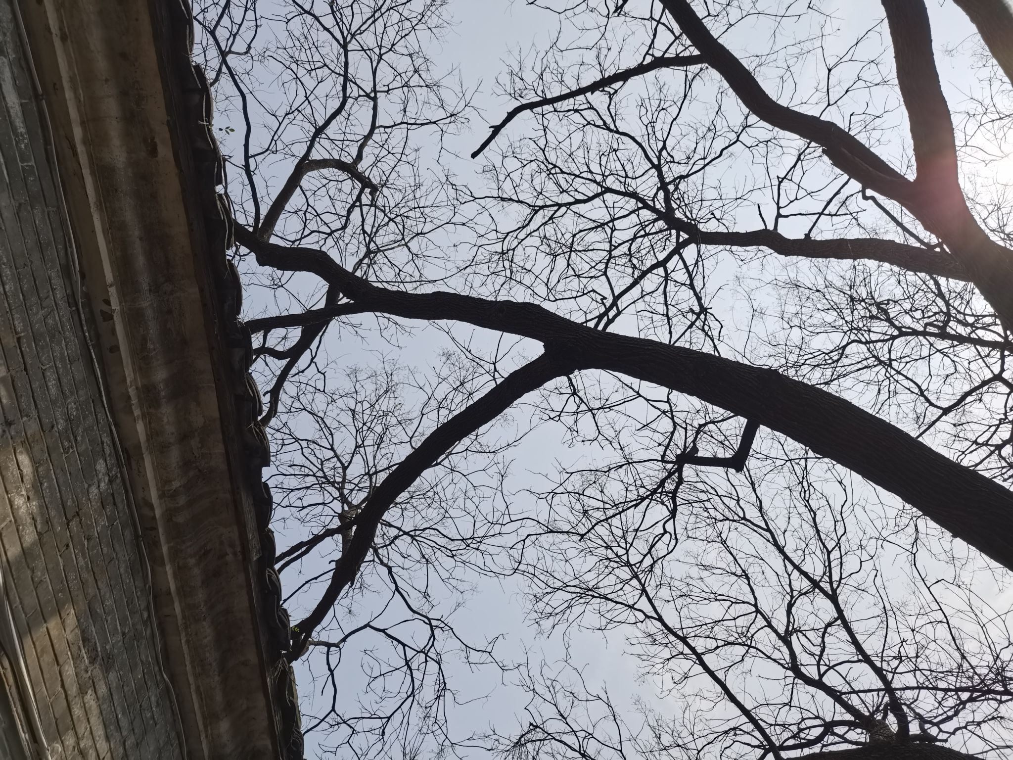 灶儿巷旅行图片 3