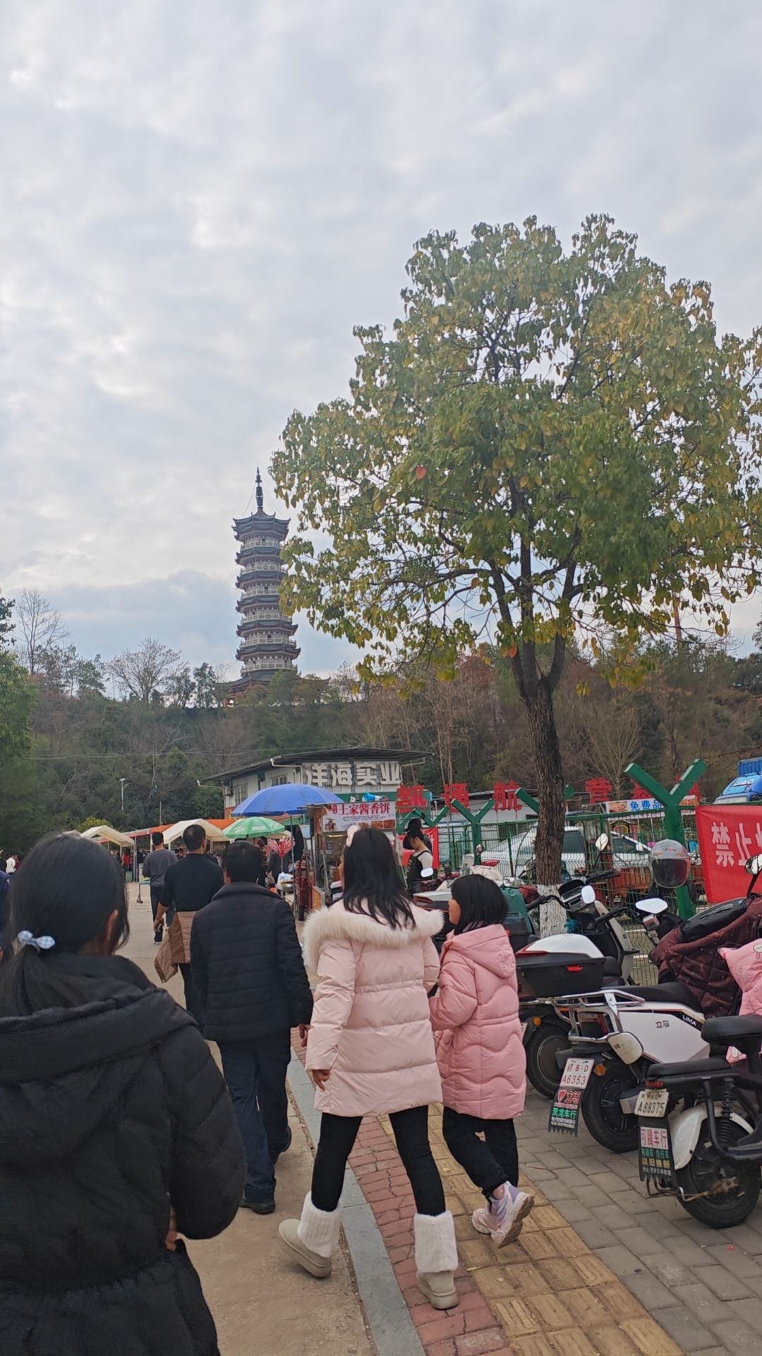 重光宝塔旅行图片 1