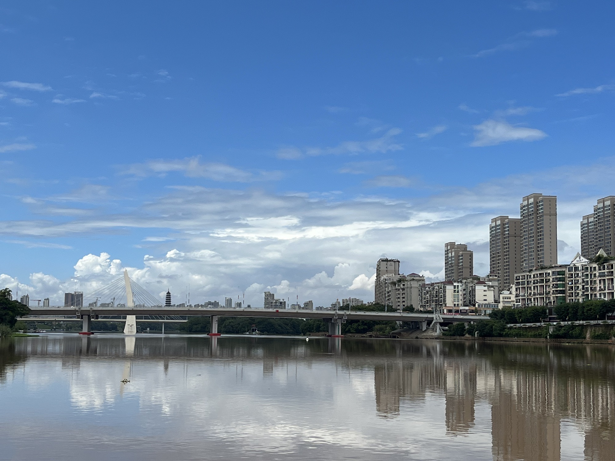 南河浮桥旅行图片 1
