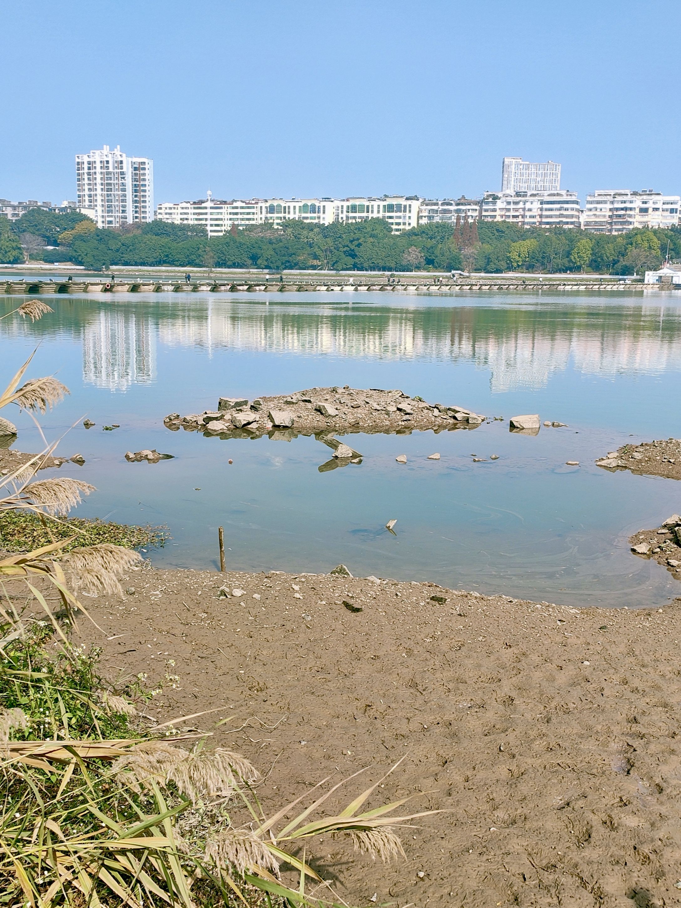 南河浮桥旅行图片 3