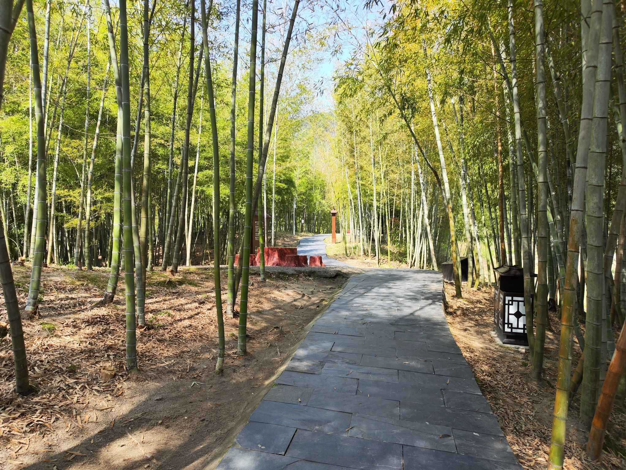 三僚风水文化景区旅行图片 3
