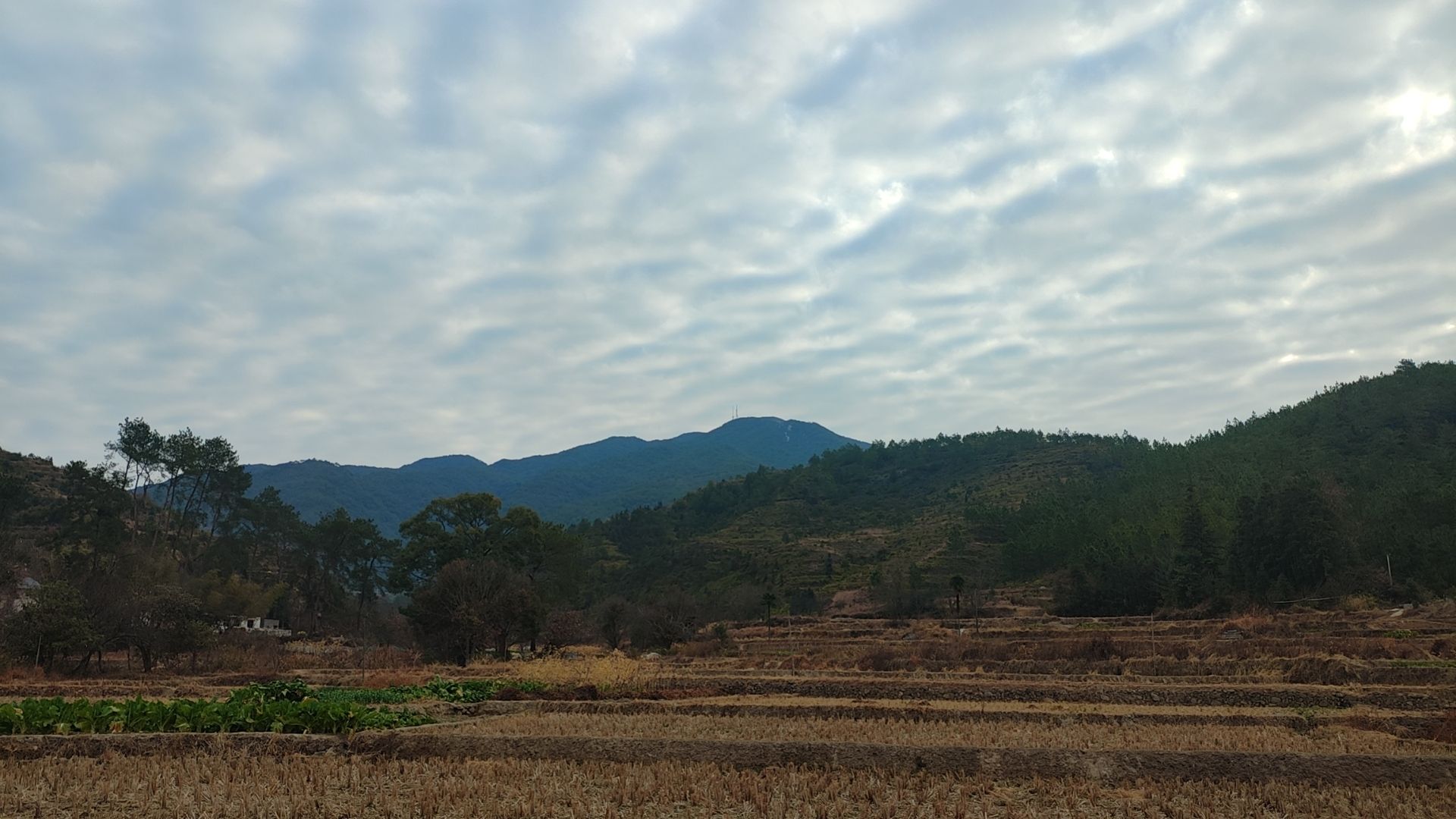 三僚风水文化景区旅行图片 3