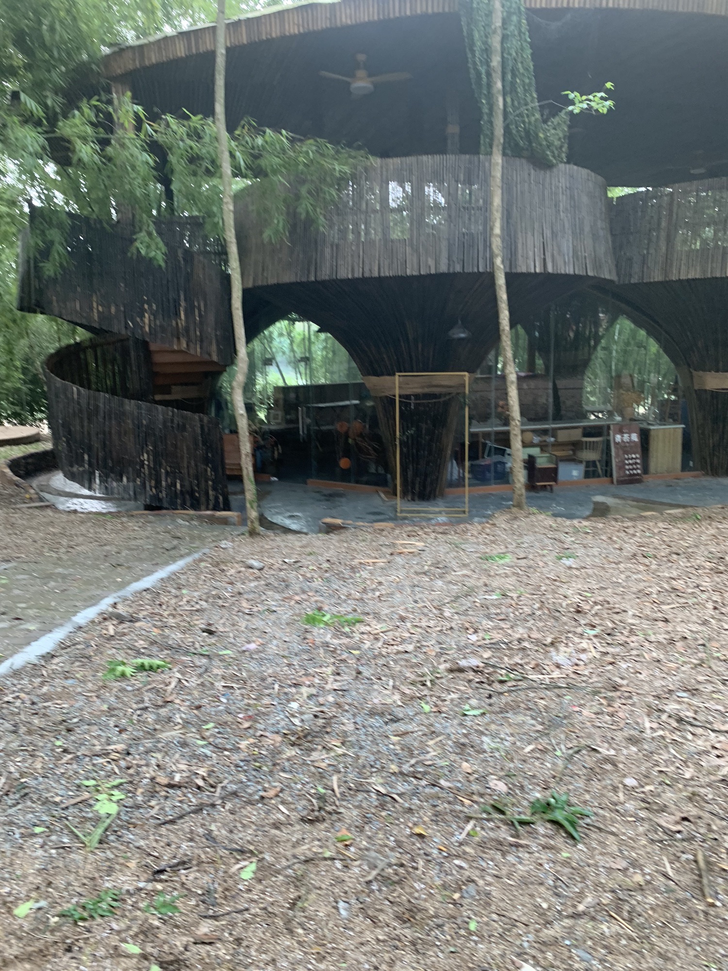 大田湾沙滩旅行图片 3