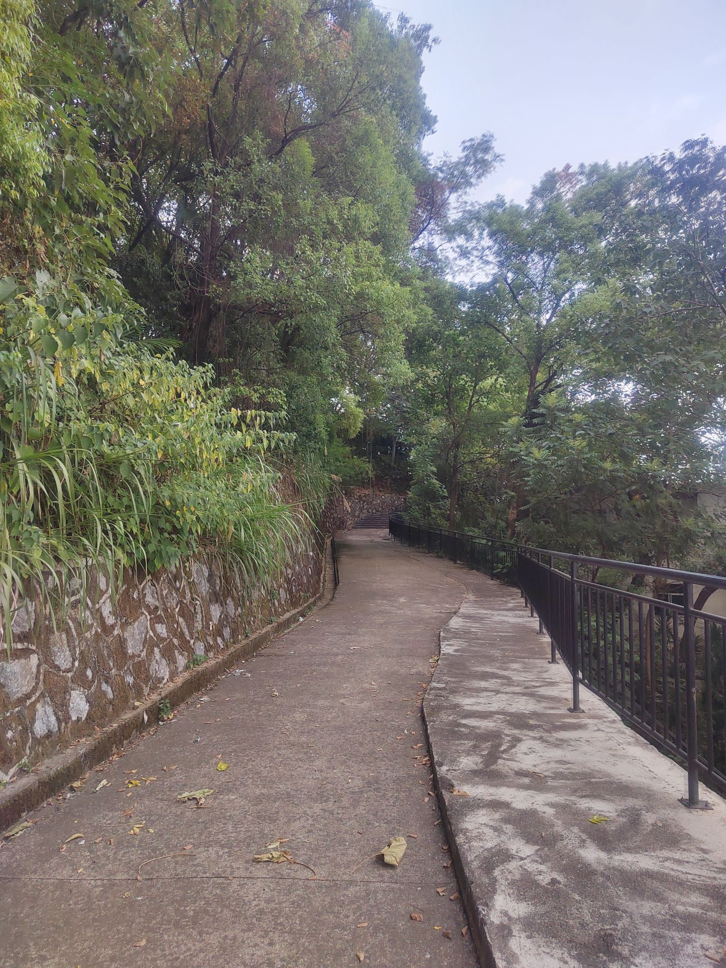 云门公园旅行图片 1