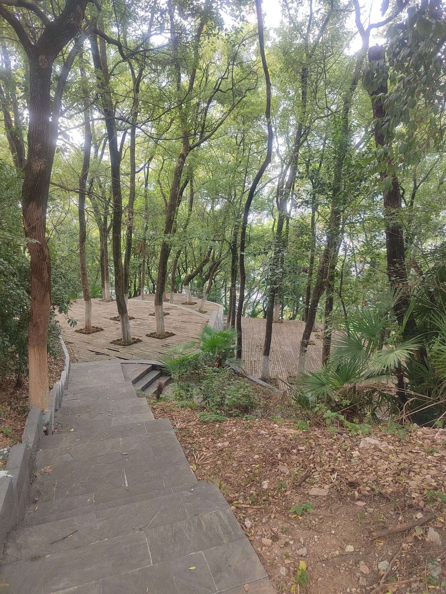 云门公园旅行图片 3