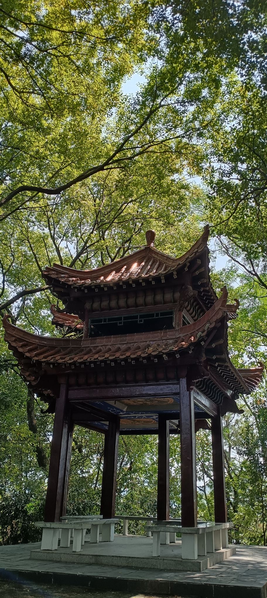 云门公园旅行图片 1