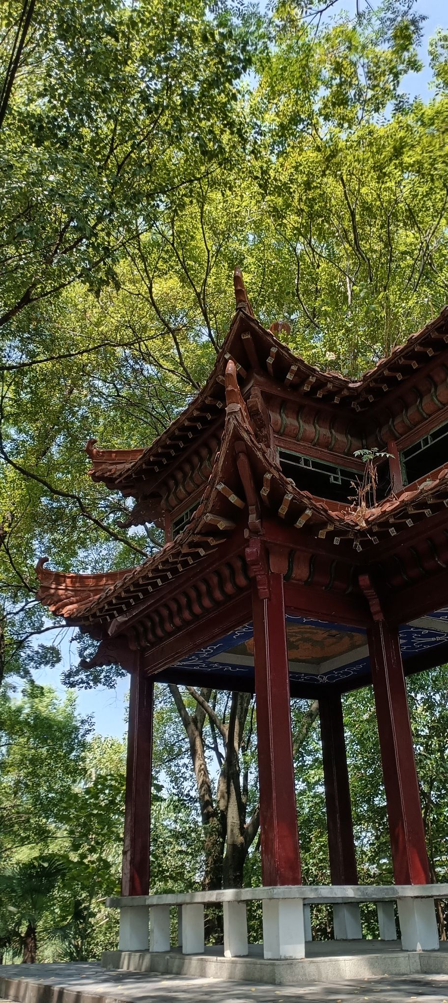 云门公园旅行图片 2