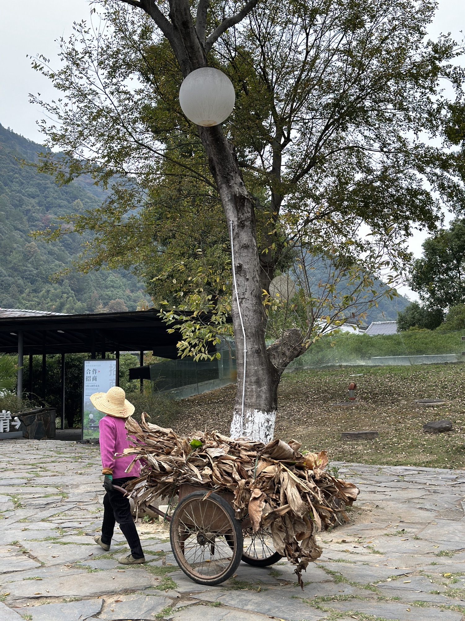 景德镇陶源谷•三宝旅游度假区·三宝蓬艺术聚落旅行图片 2