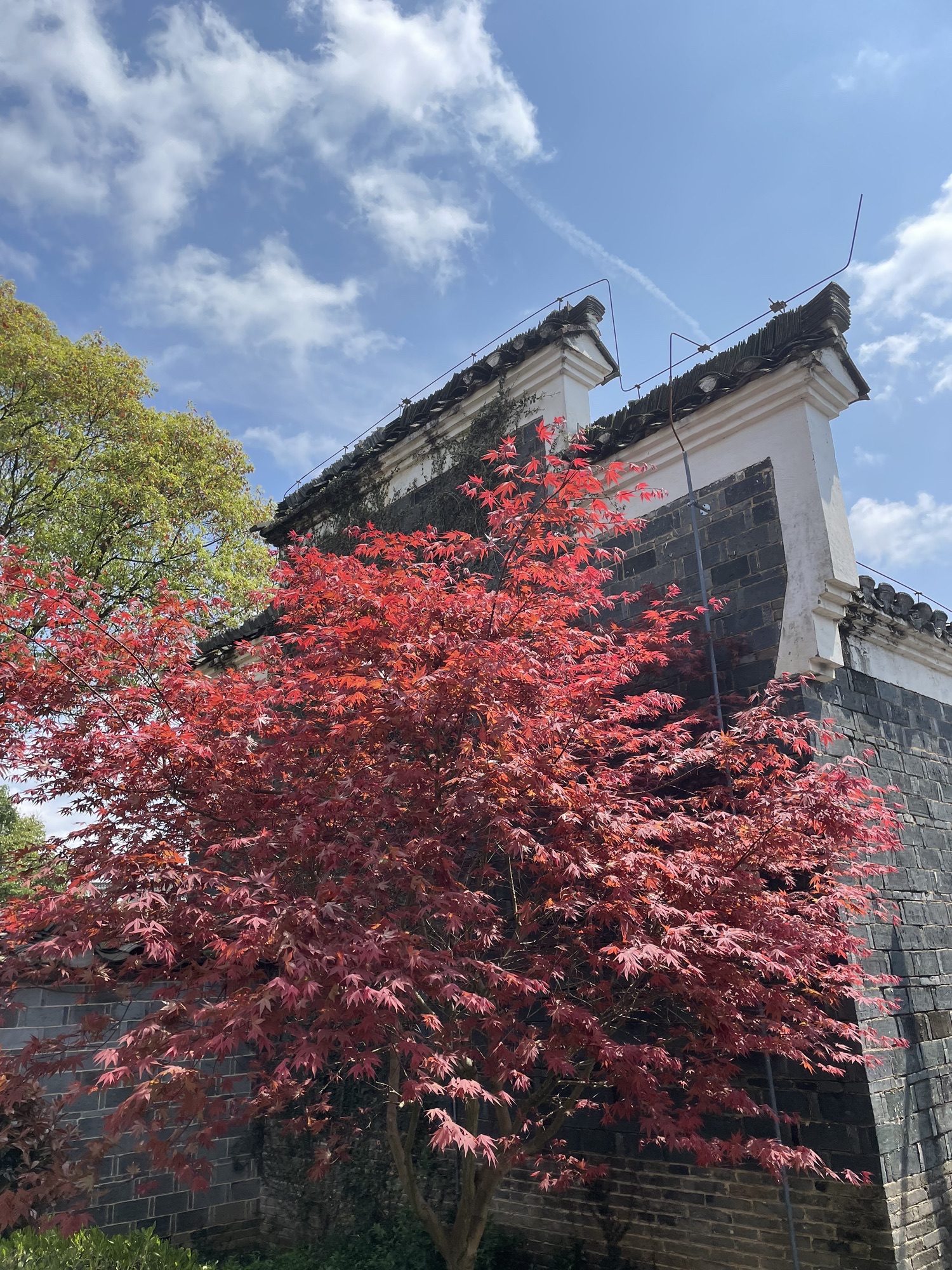 浮梁古县衙旅行图片 2