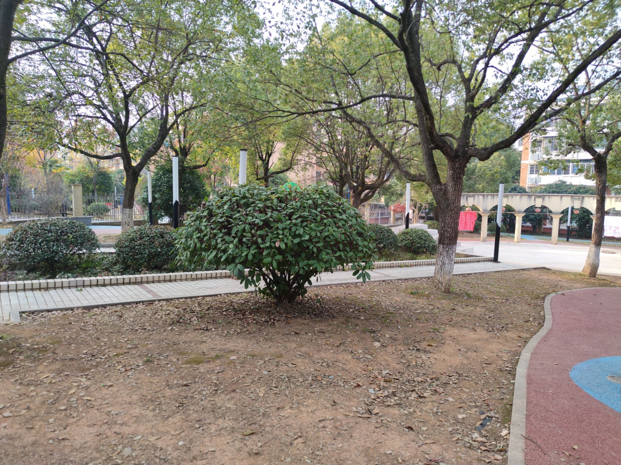 新世纪公园旅行图片 2