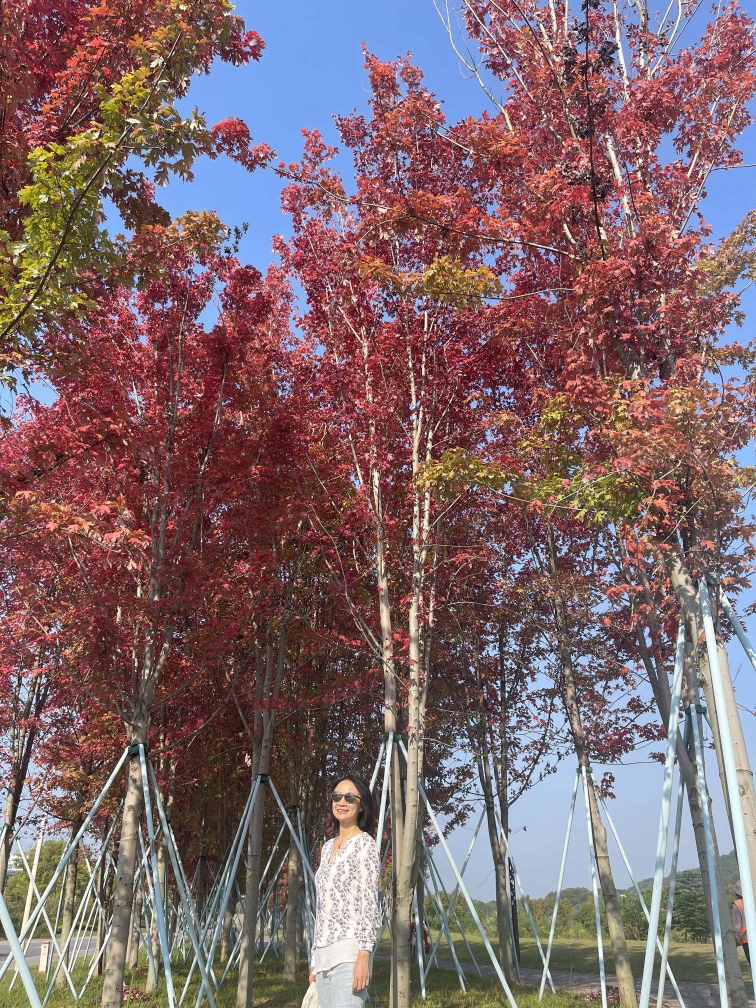 景德镇植物园旅行图片 2