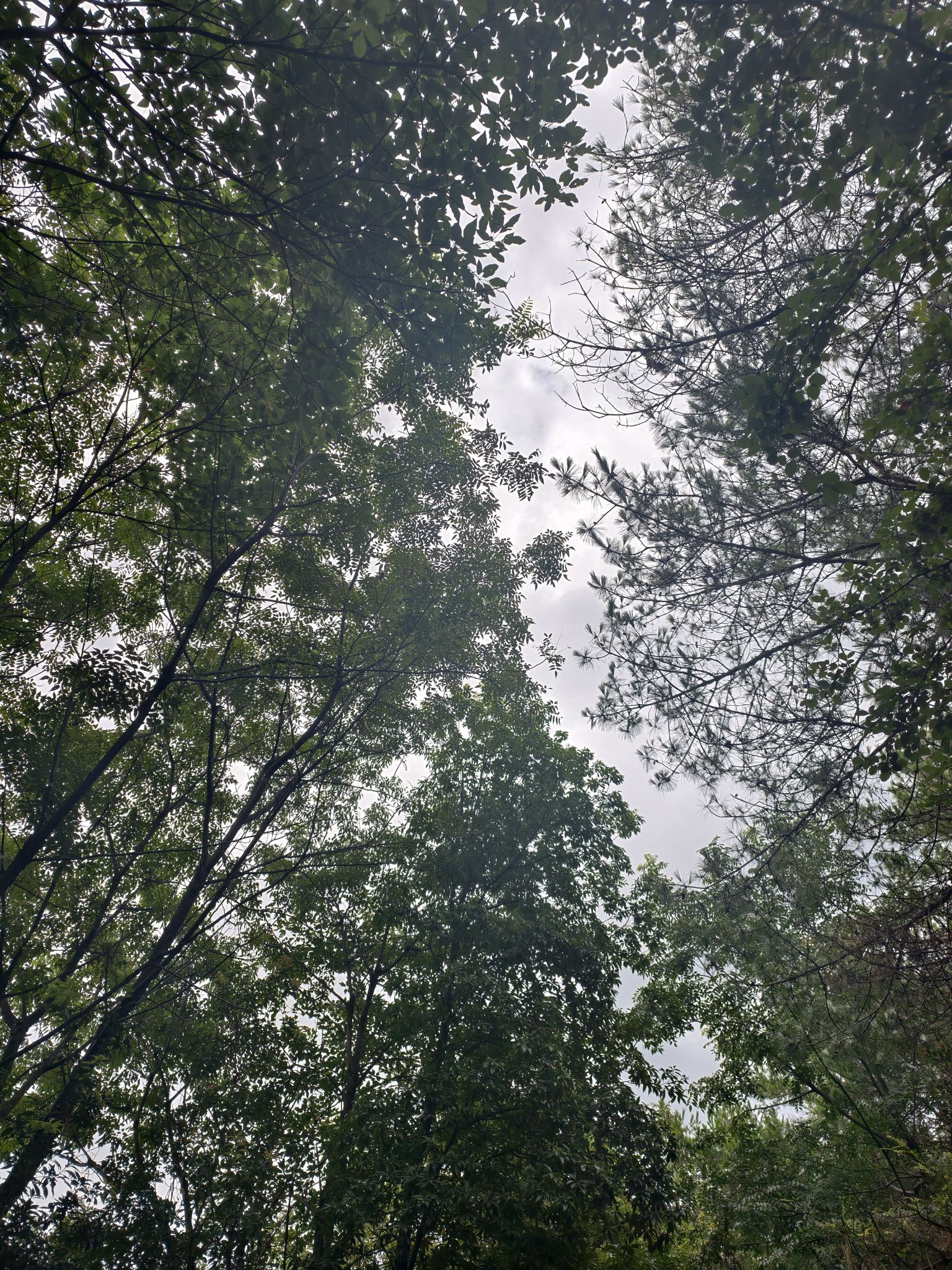 景德镇陶源谷·三宝旅游度假区·三宝国际陶艺村旅行图片 2