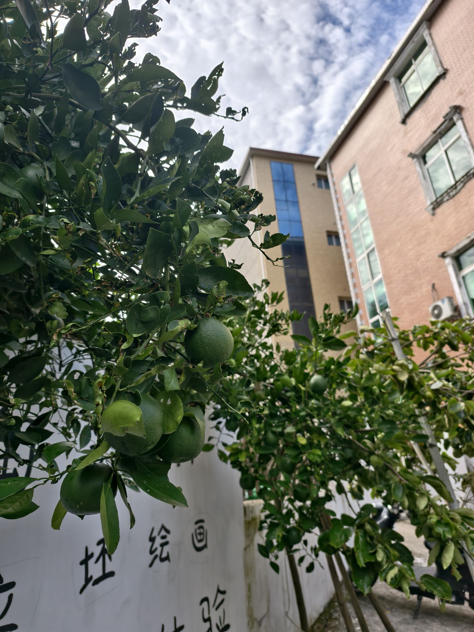景德镇陶源谷·三宝旅游度假区·三宝国际陶艺村旅行图片 3