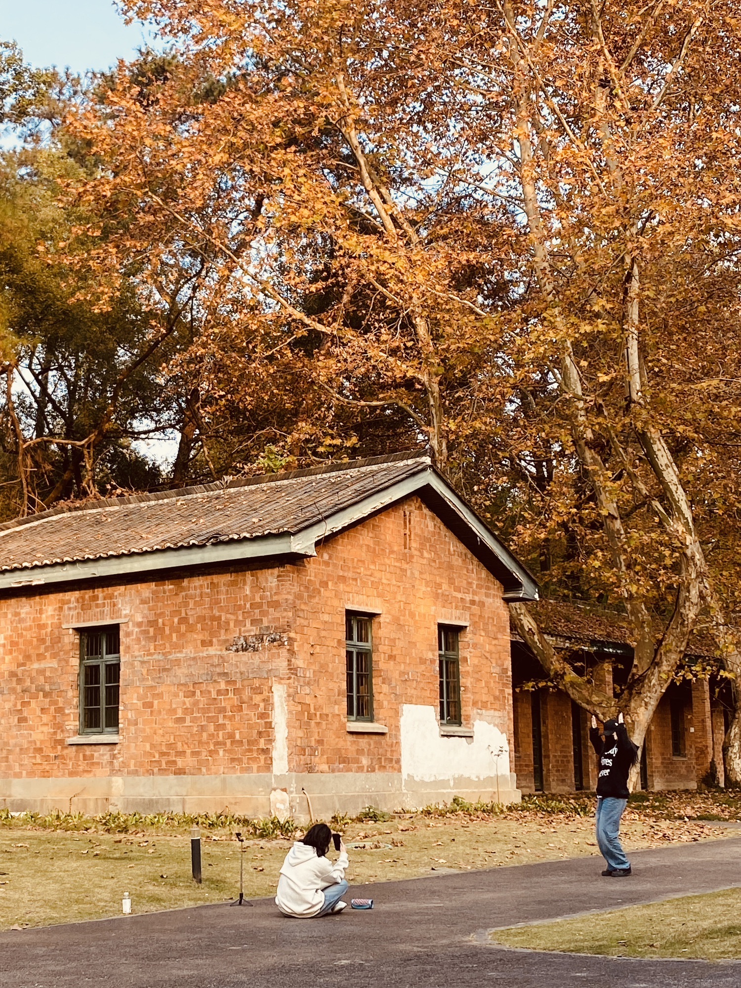 城市森林公园旅行图片 3
