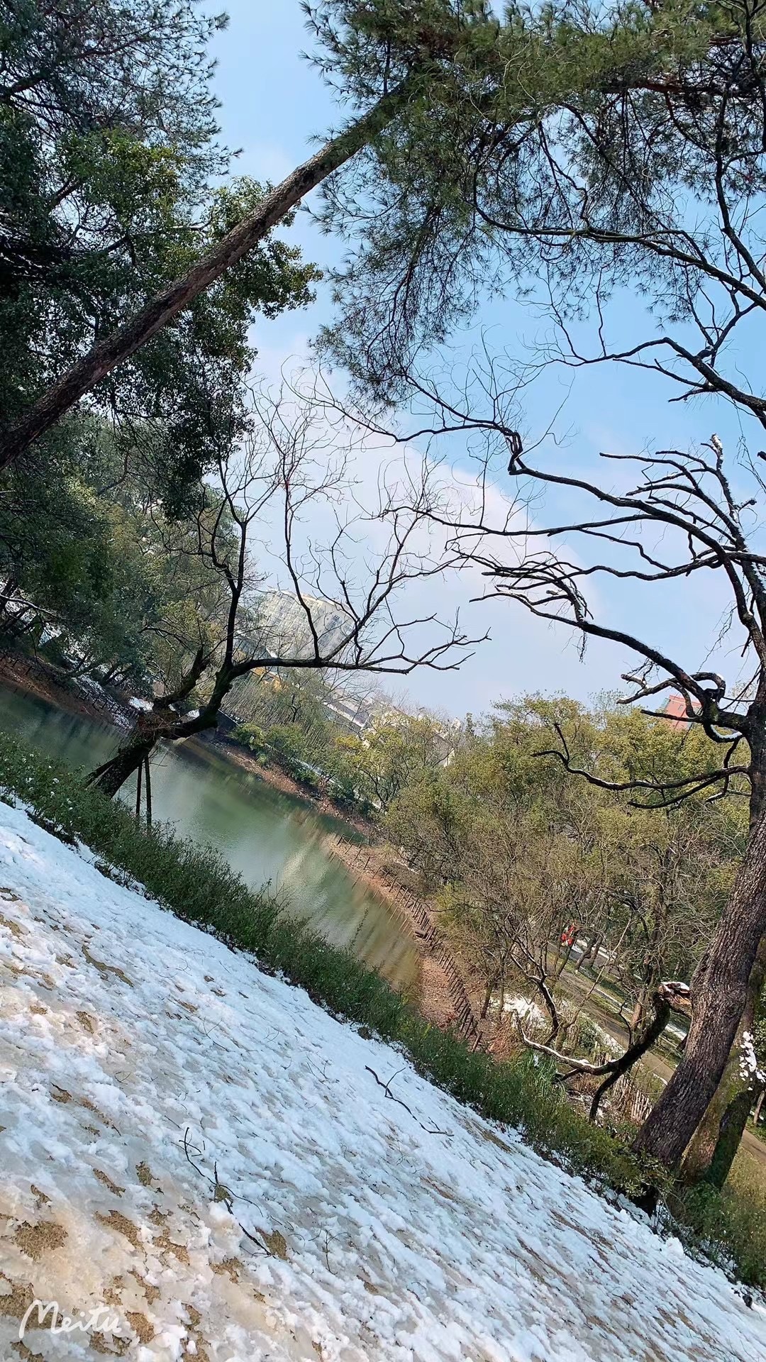 城市森林公园旅行图片 1