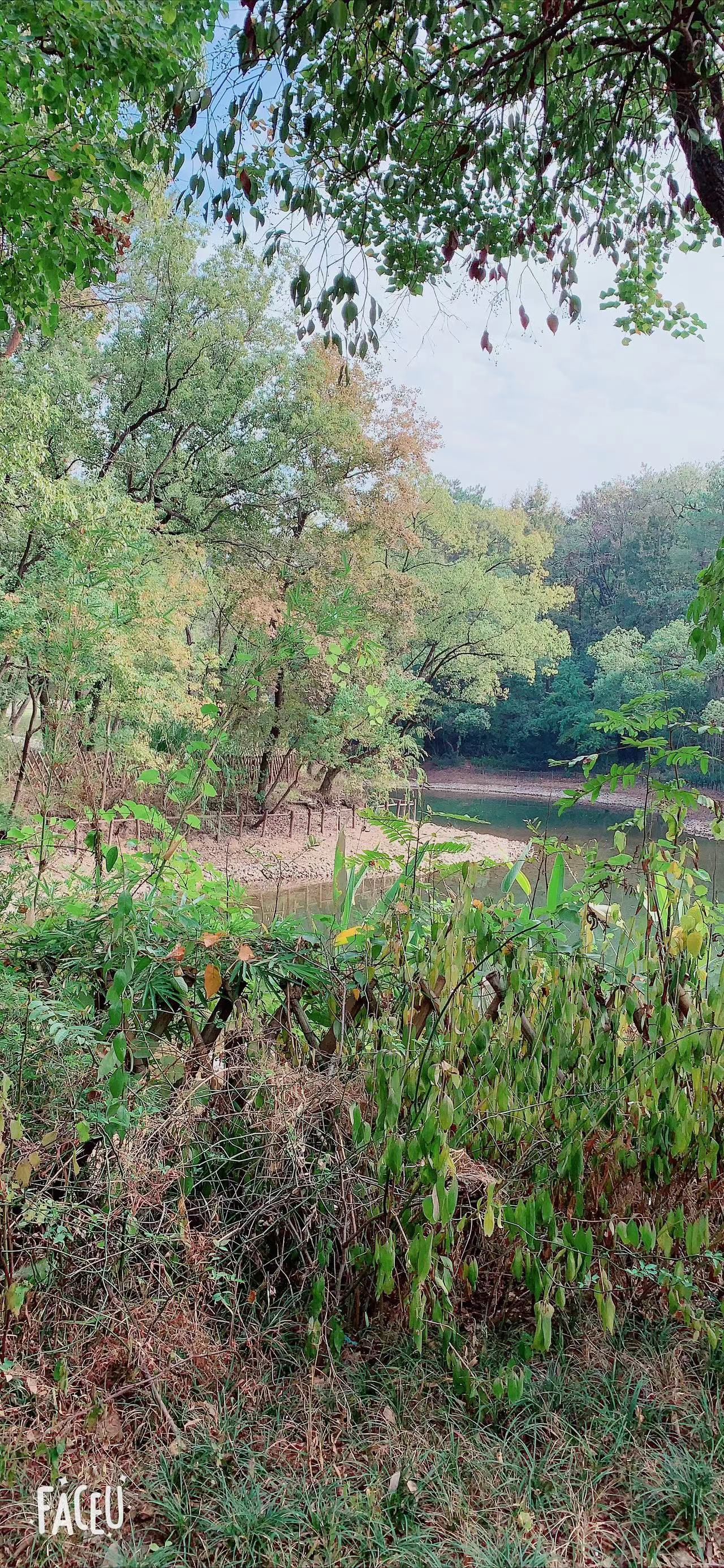 城市森林公园旅行图片 3