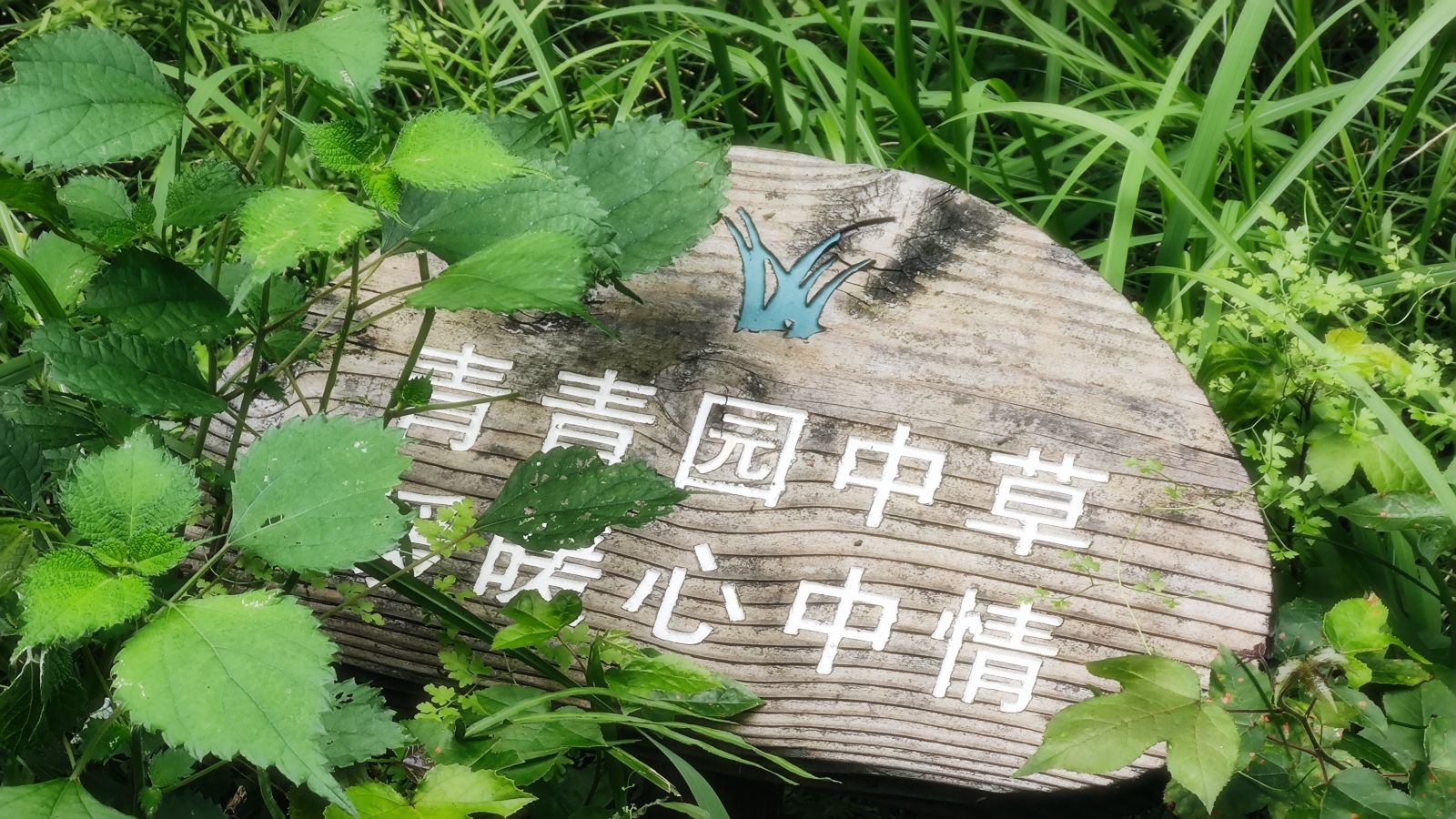 城市森林公园旅行图片 1