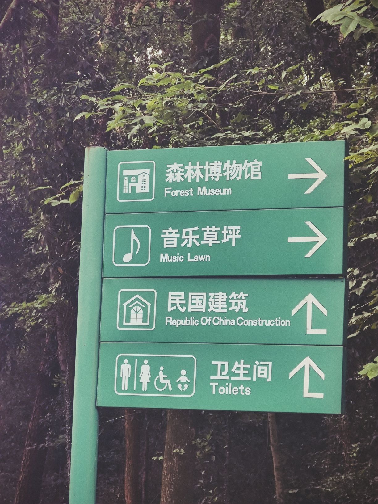 城市森林公园旅行图片 2