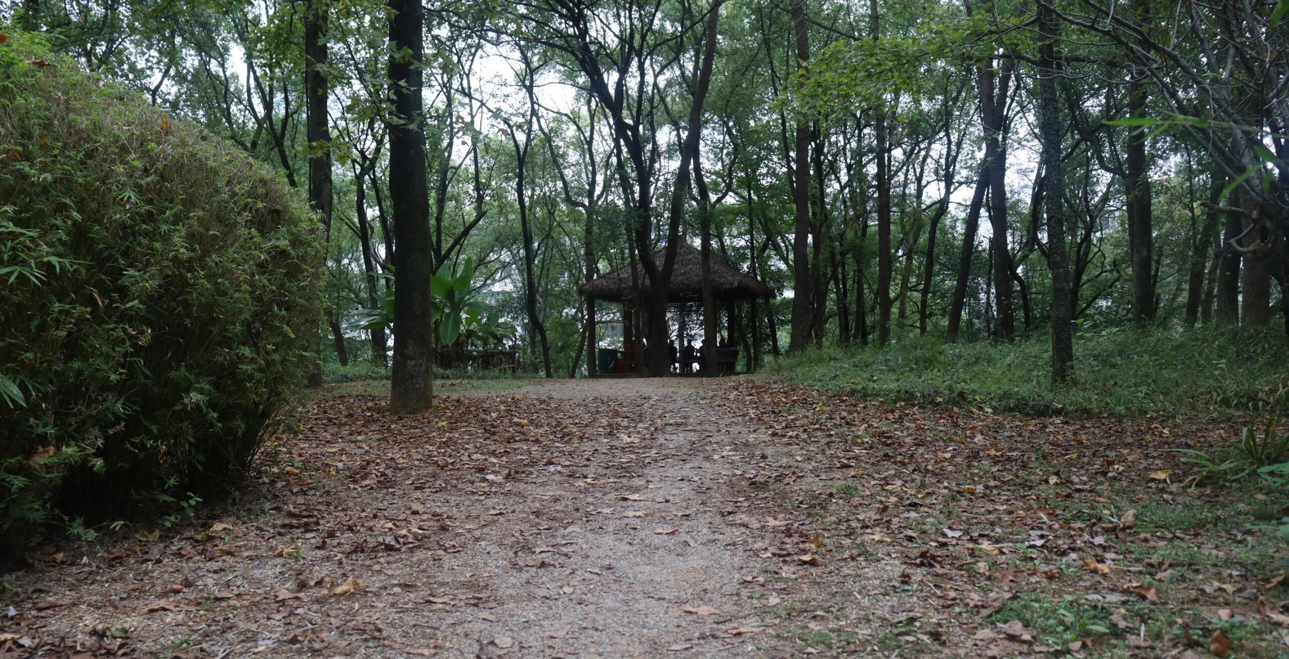 城市森林公园旅行图片 1