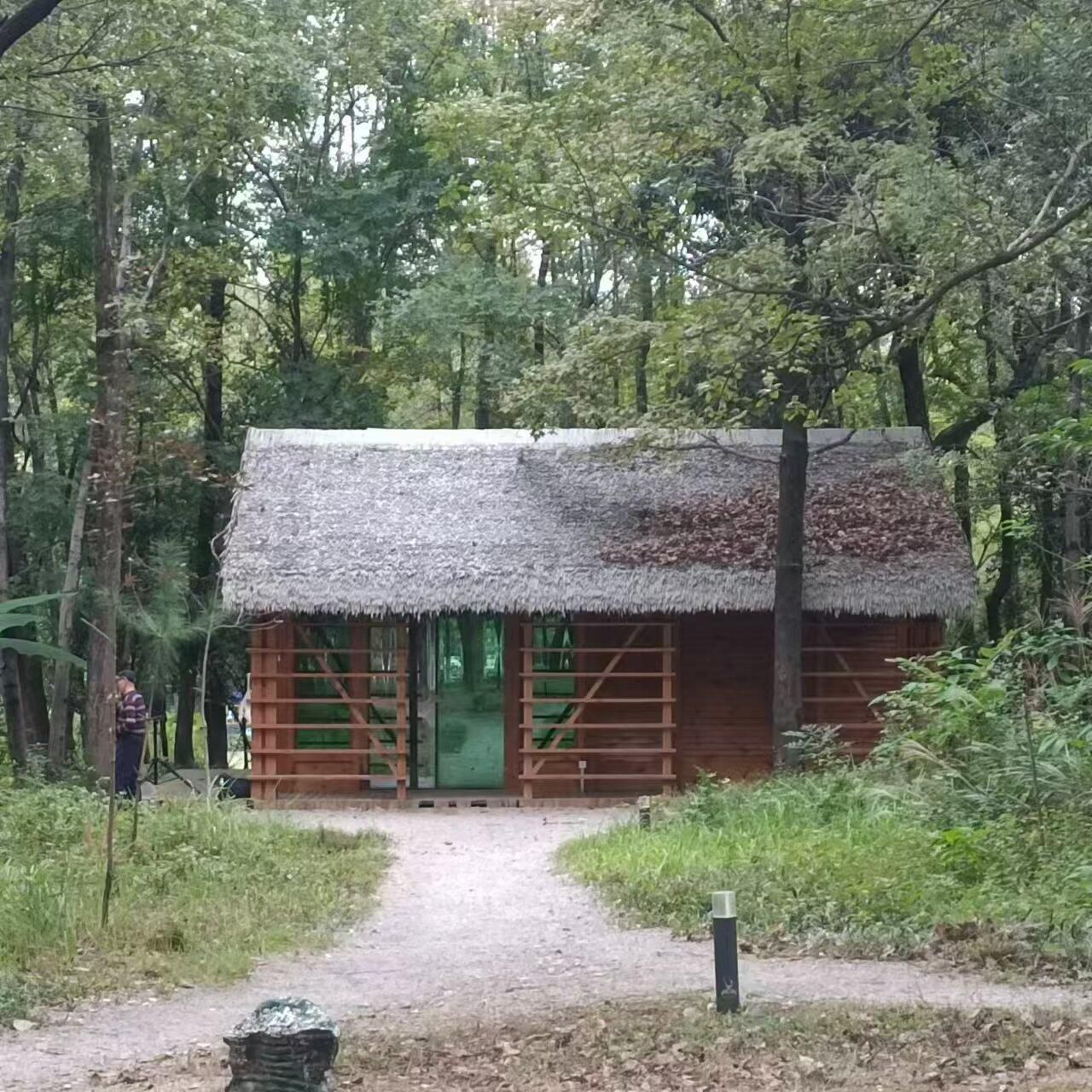城市森林公园旅行图片 3