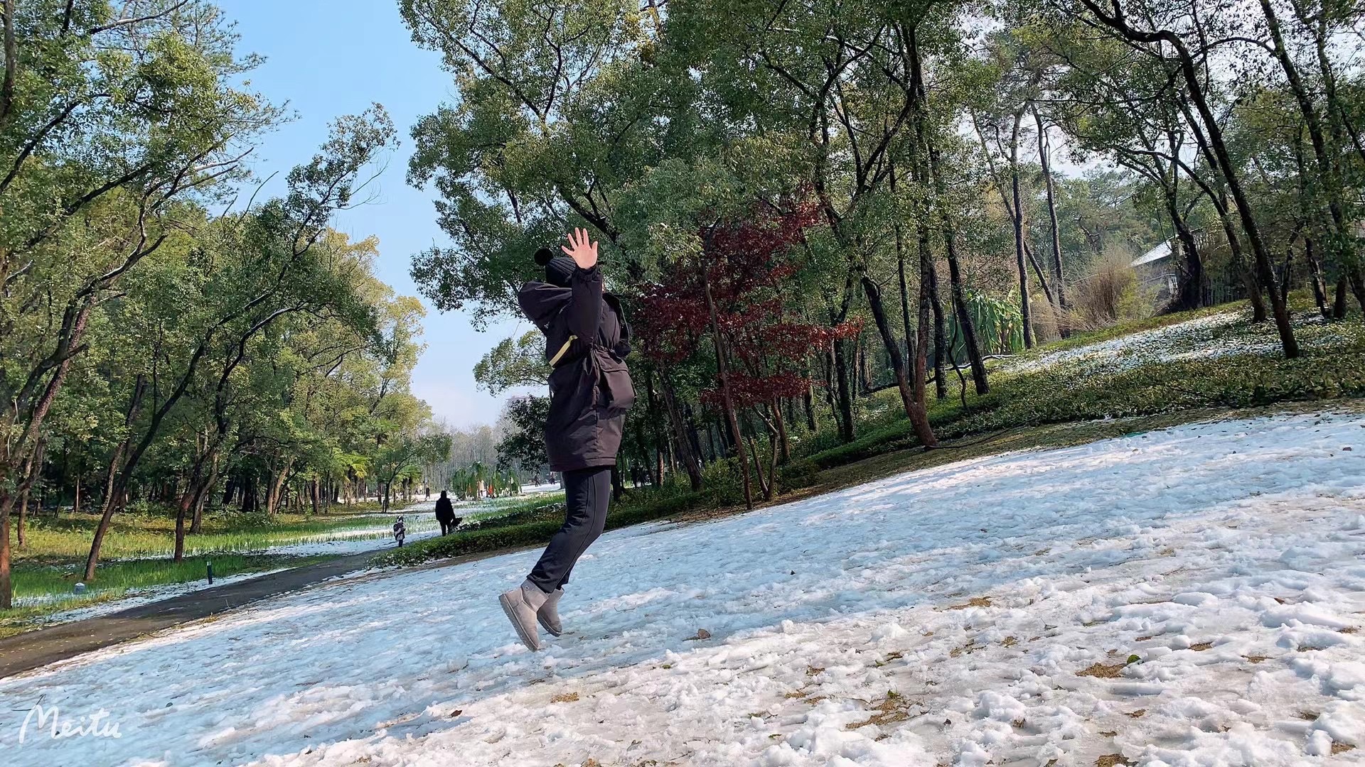 城市森林公园旅行图片 3