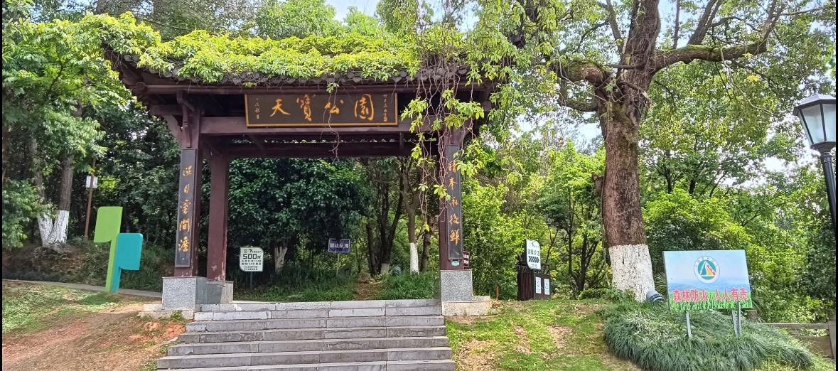 天宝公园旅行图片 3