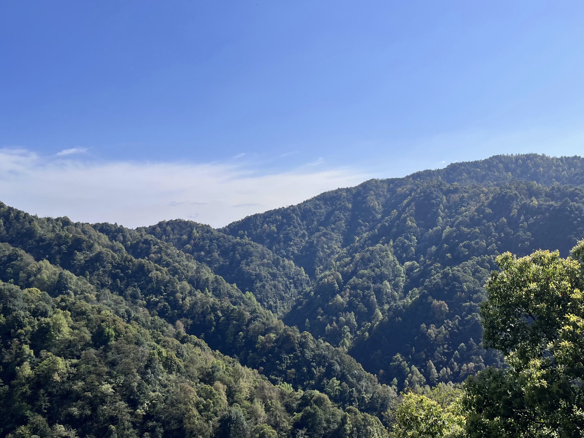 冷水尖风景区旅行图片 1