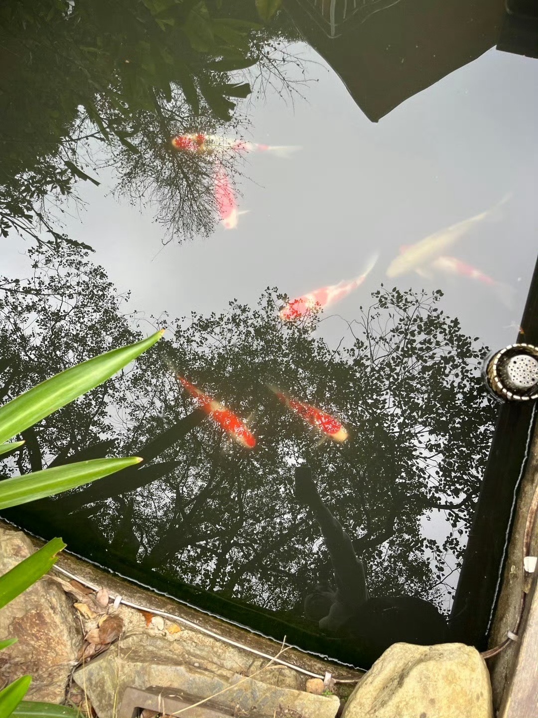 冷水尖风景区旅行图片 1