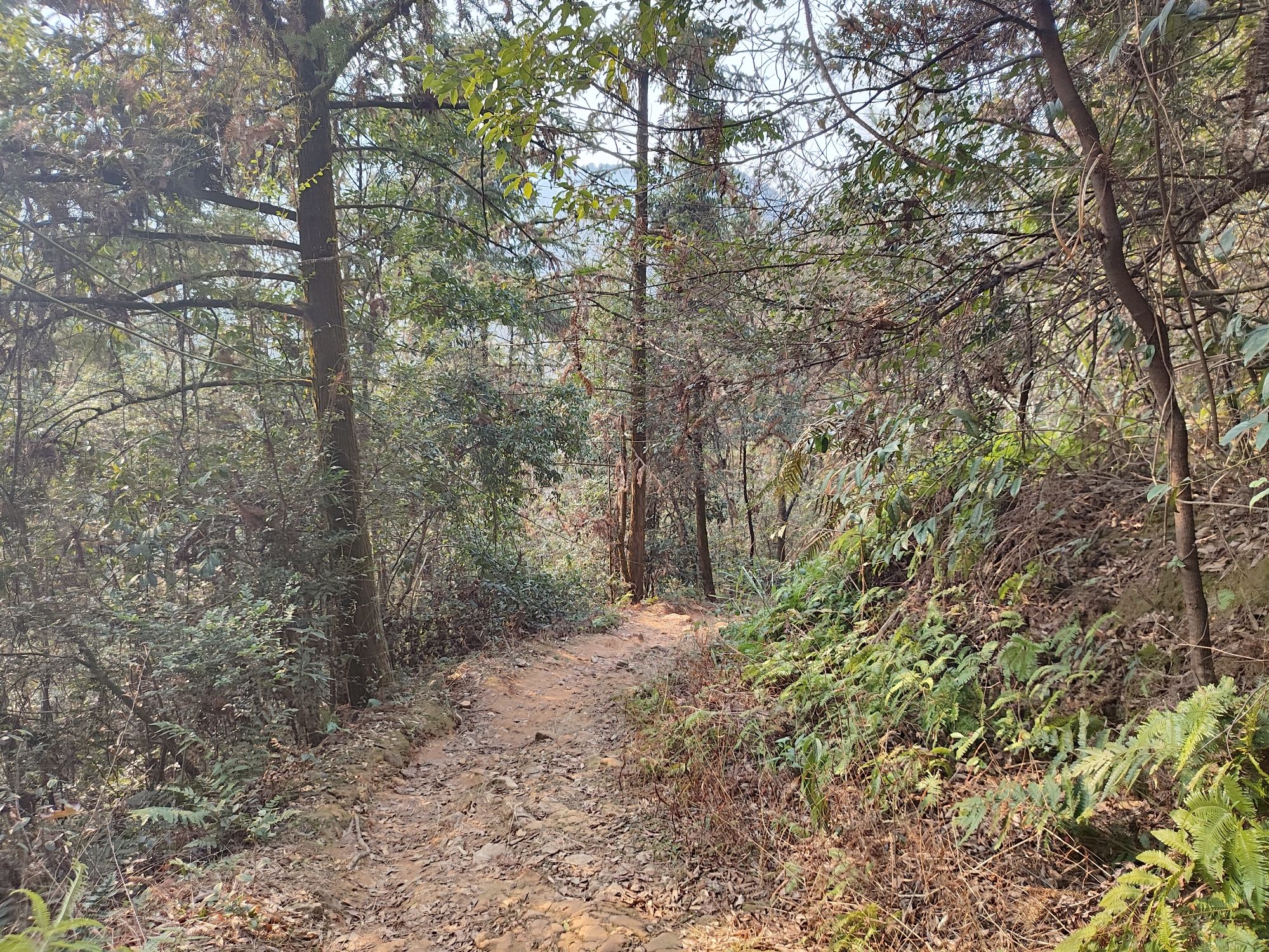 冷水尖风景区旅行图片 2
