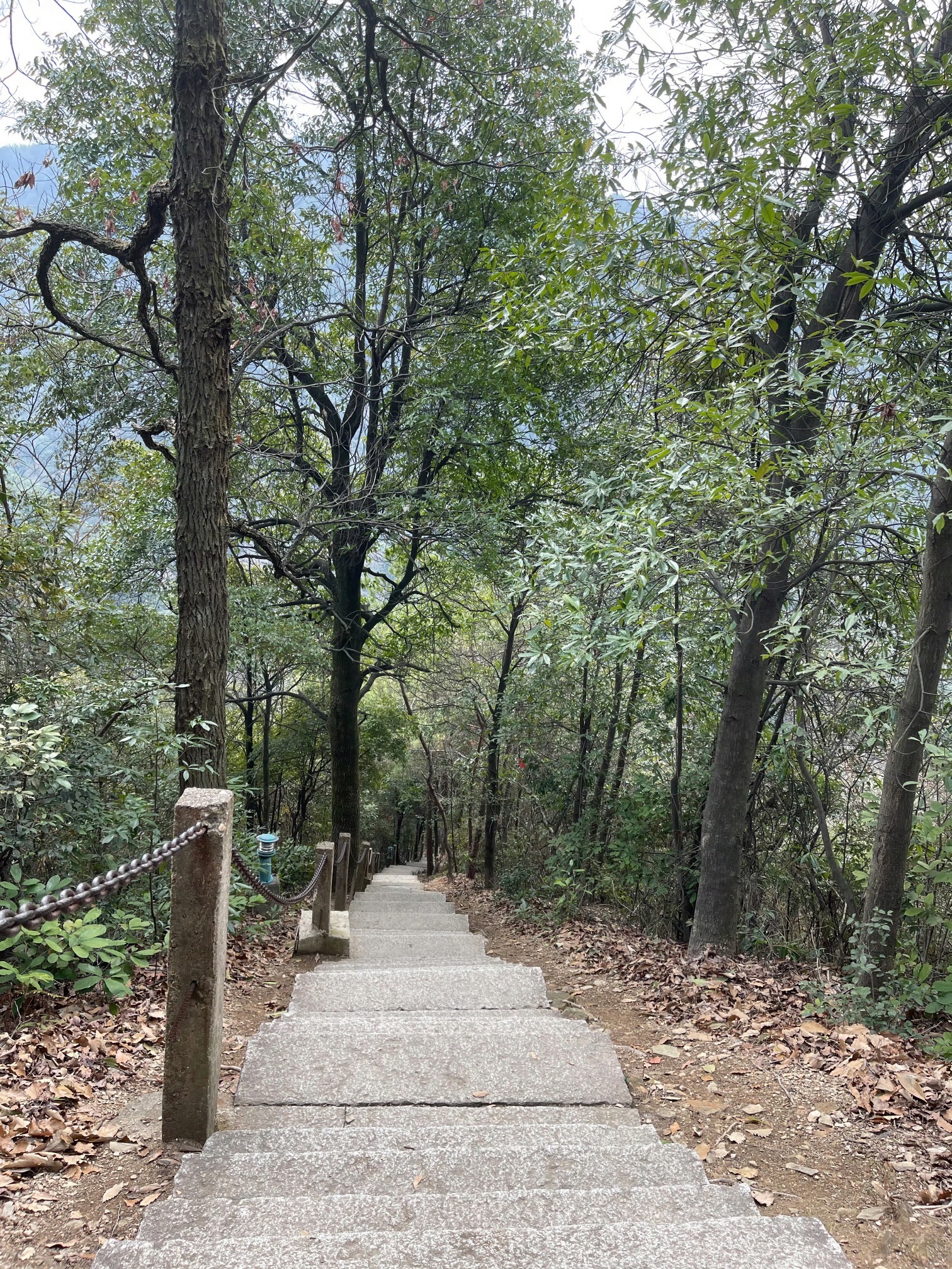 冷水尖风景区旅行图片 2
