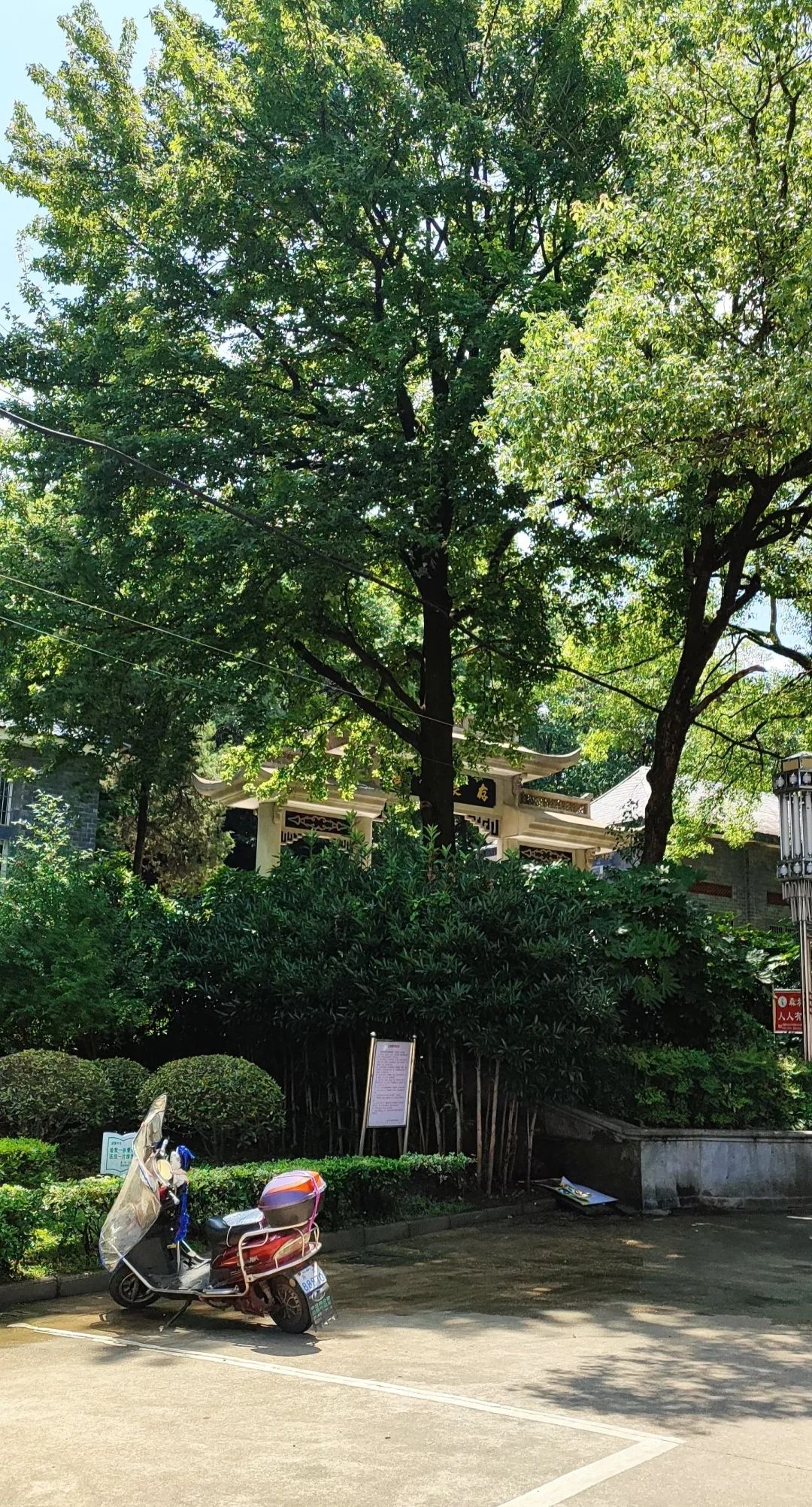 东湖公园旅行图片 3