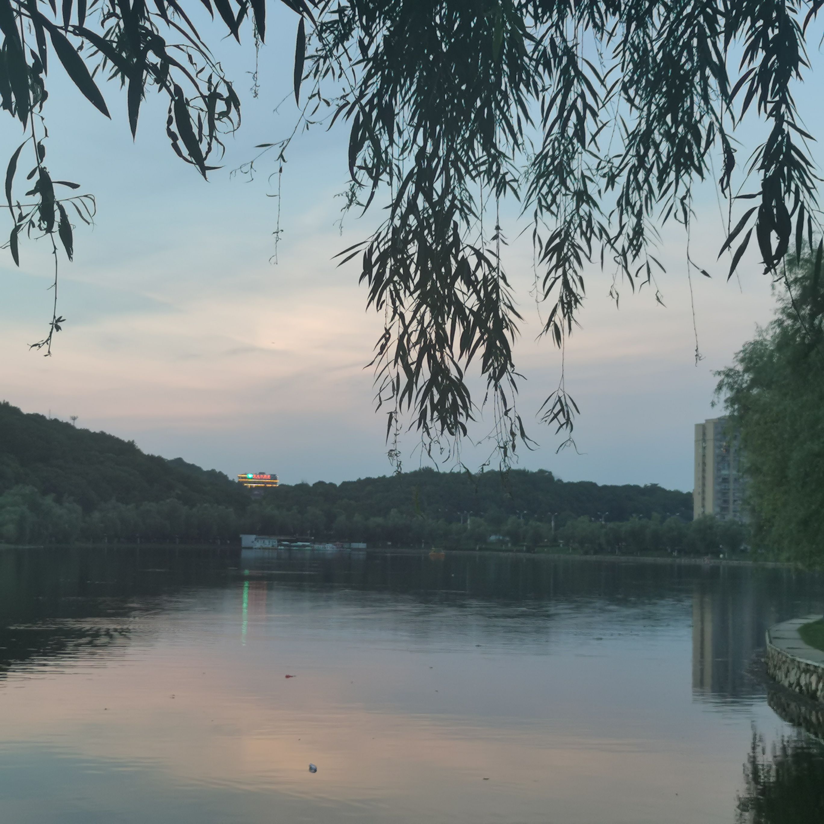 东湖公园旅行图片 2