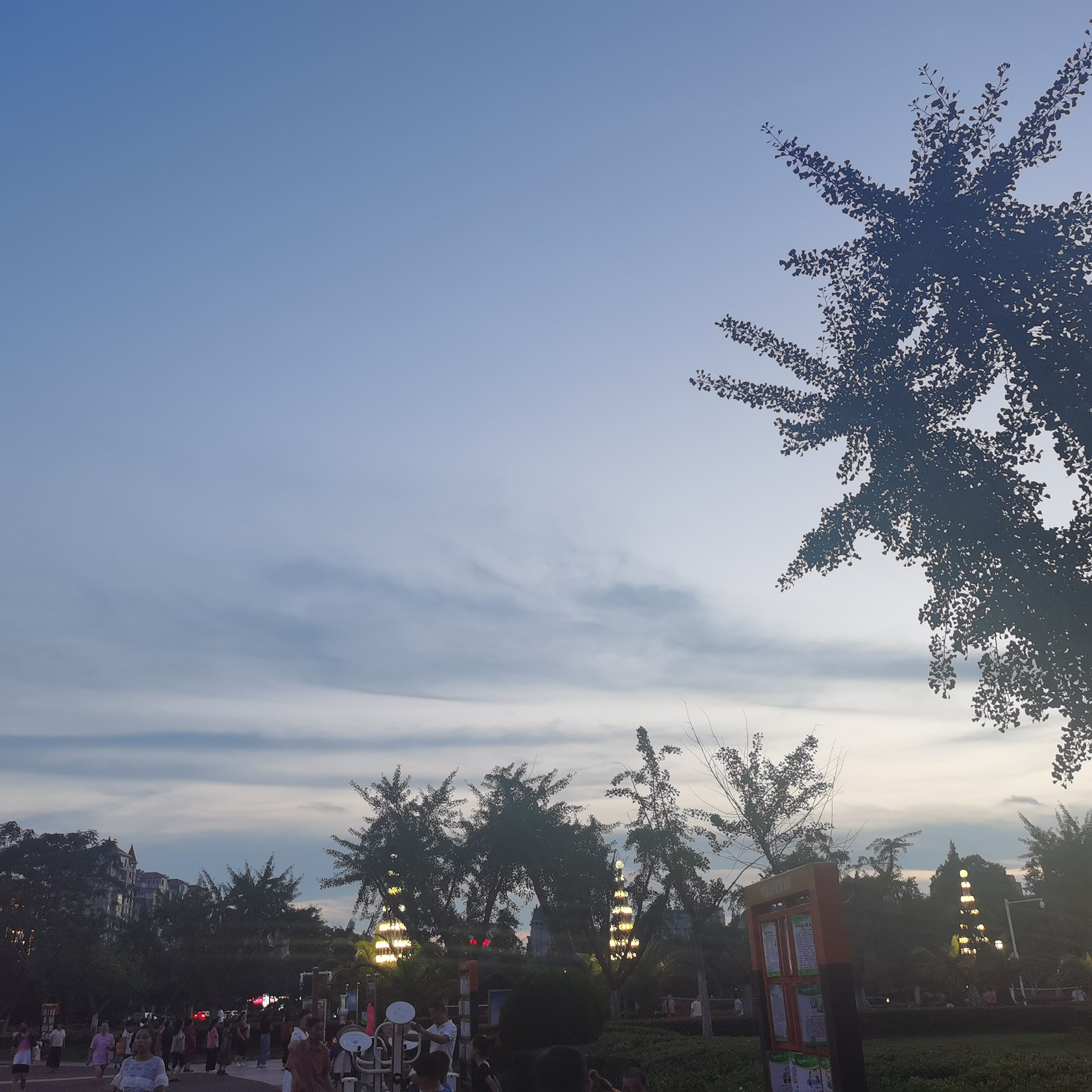 东湖公园旅行图片 1