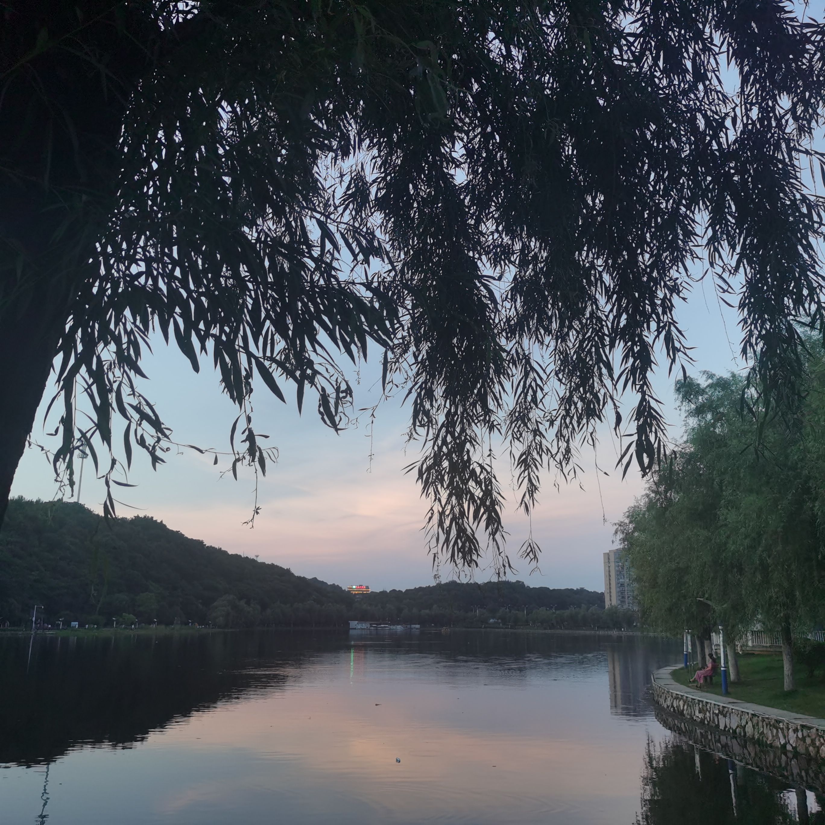 东湖公园旅行图片 3