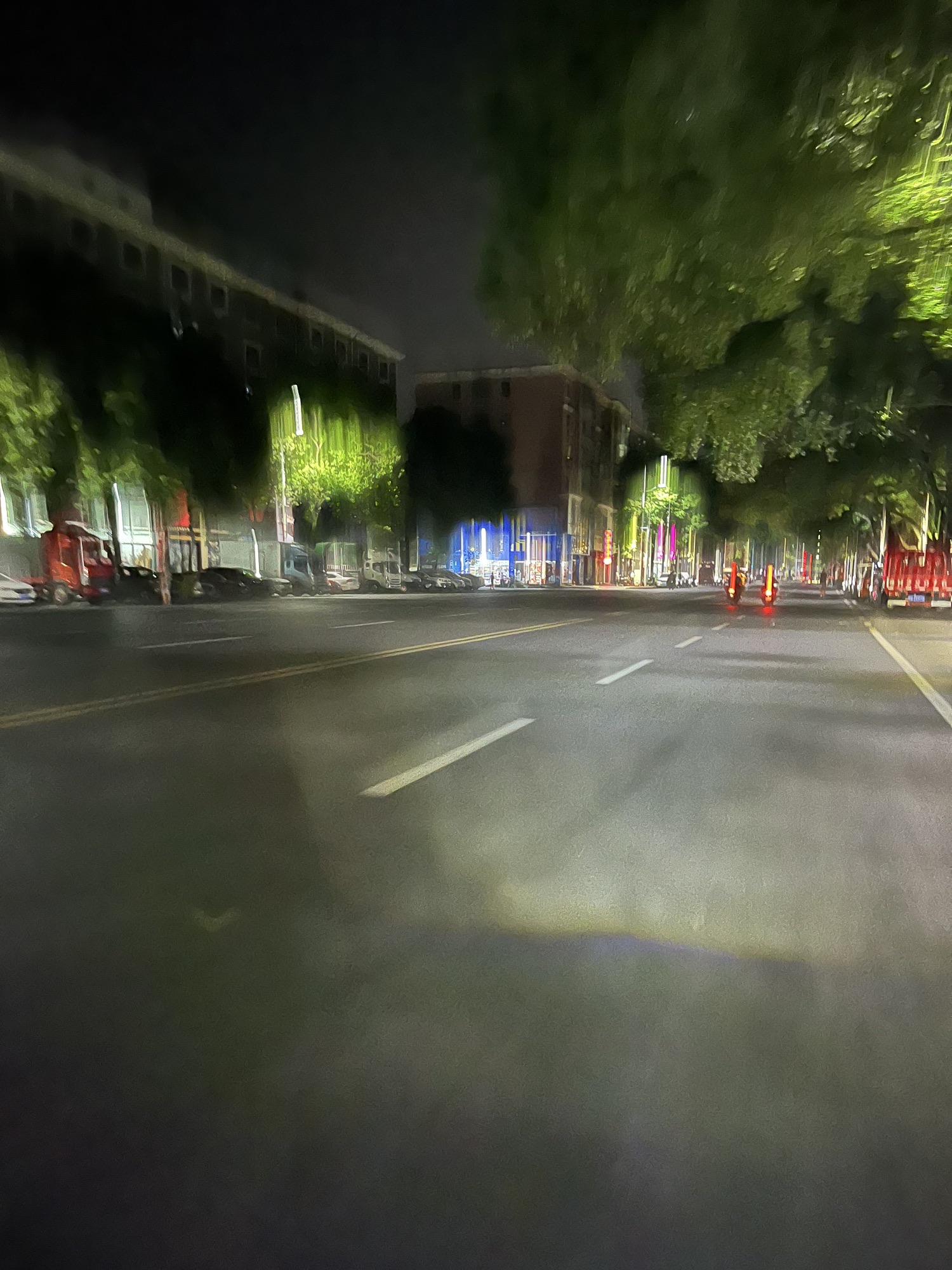 东湖公园旅行图片 3