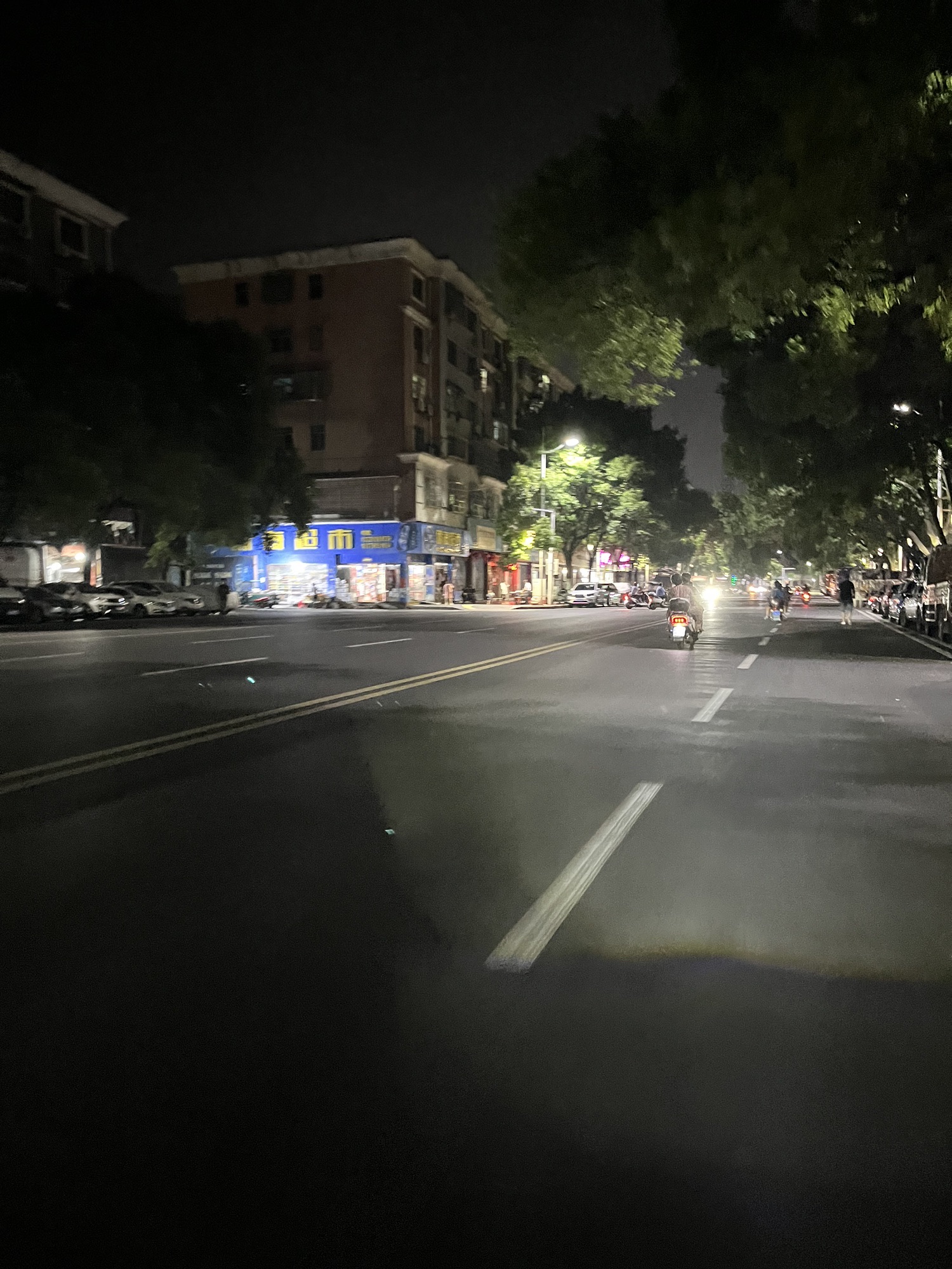 东湖公园旅行图片 1