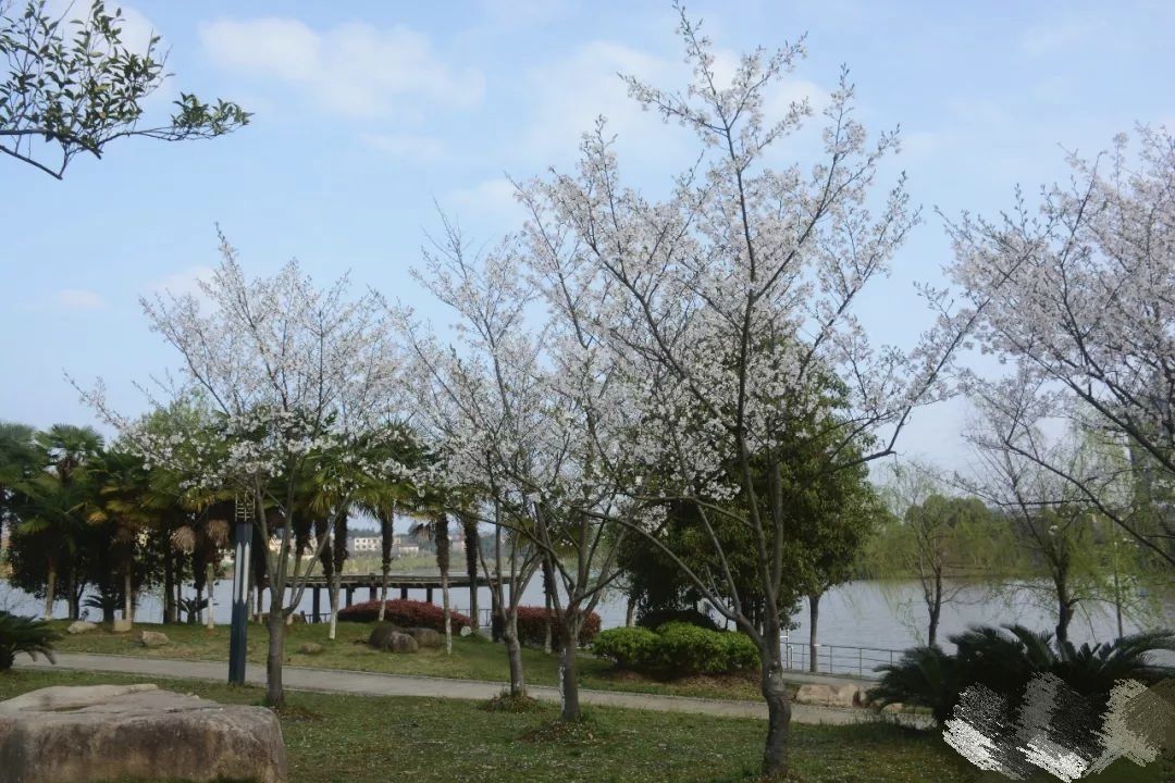 三贤湖公园旅行图片 2