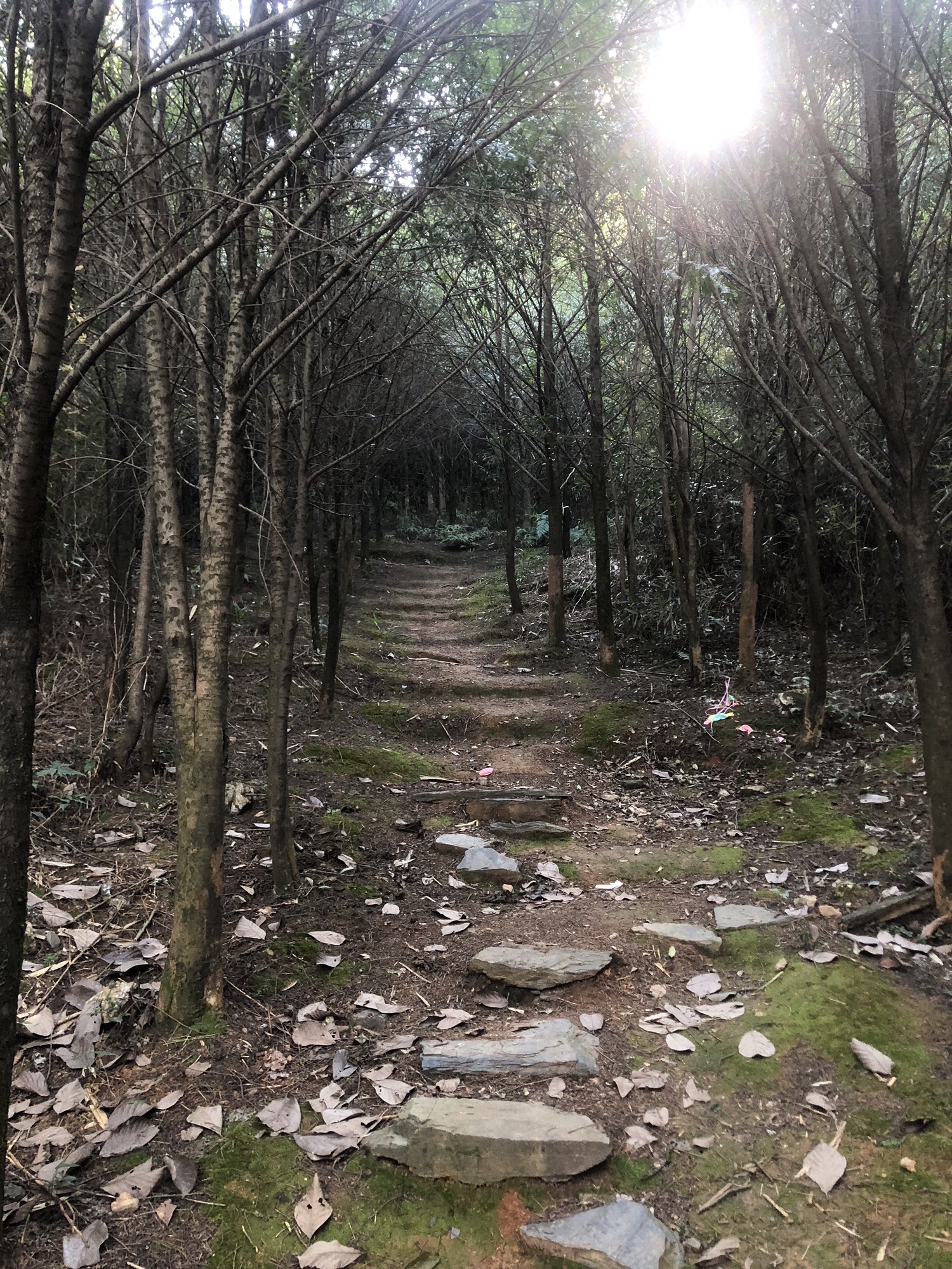 得雨龙山旅行图片 3