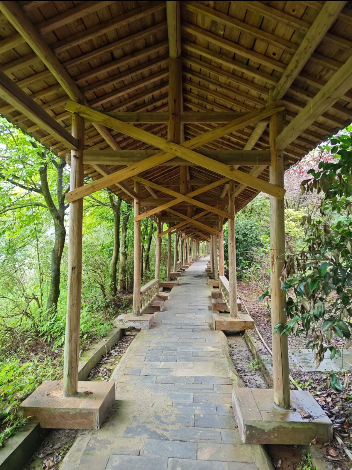 得雨龙山旅行图片 1