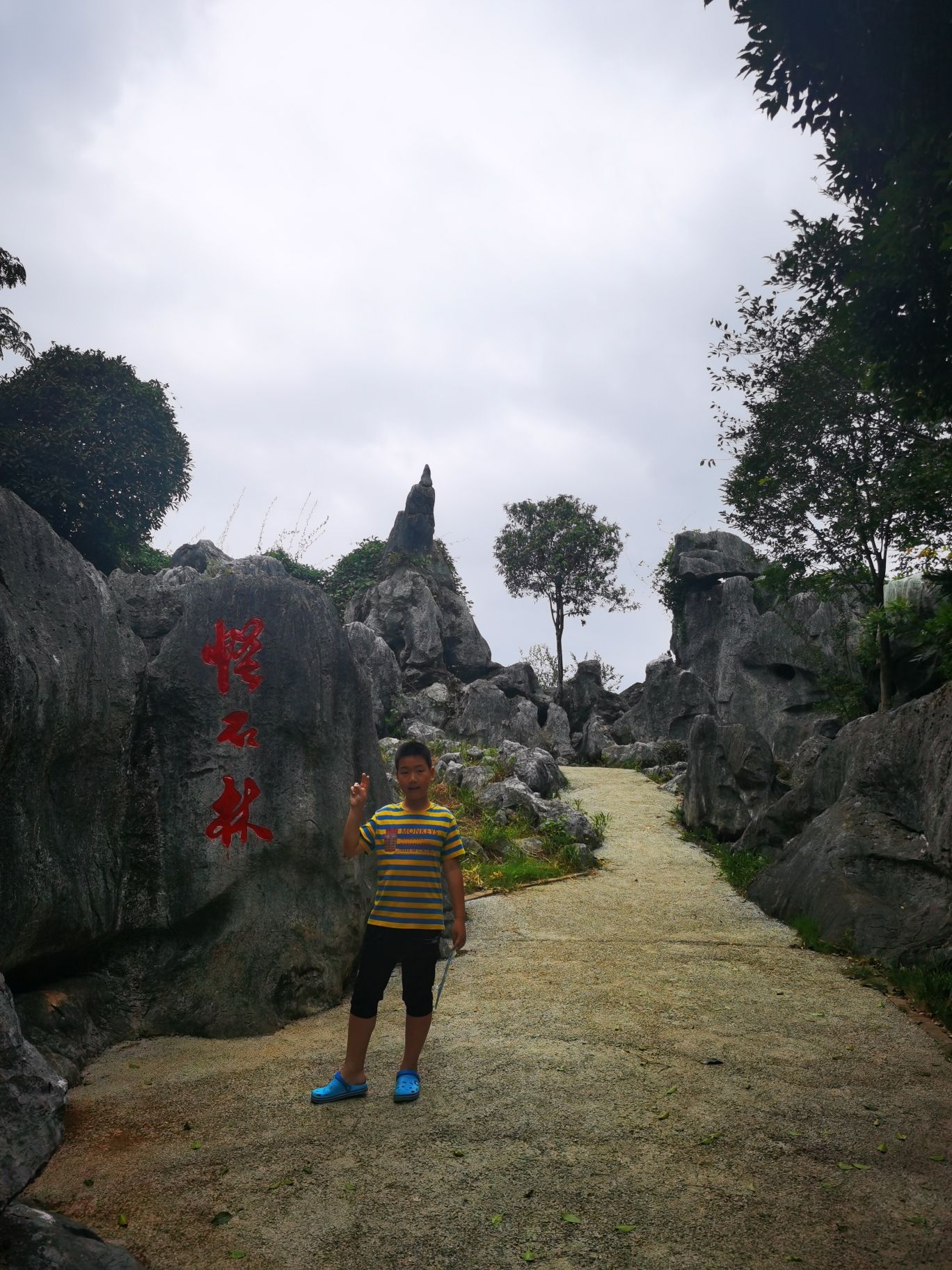 怪石林旅行图片 3