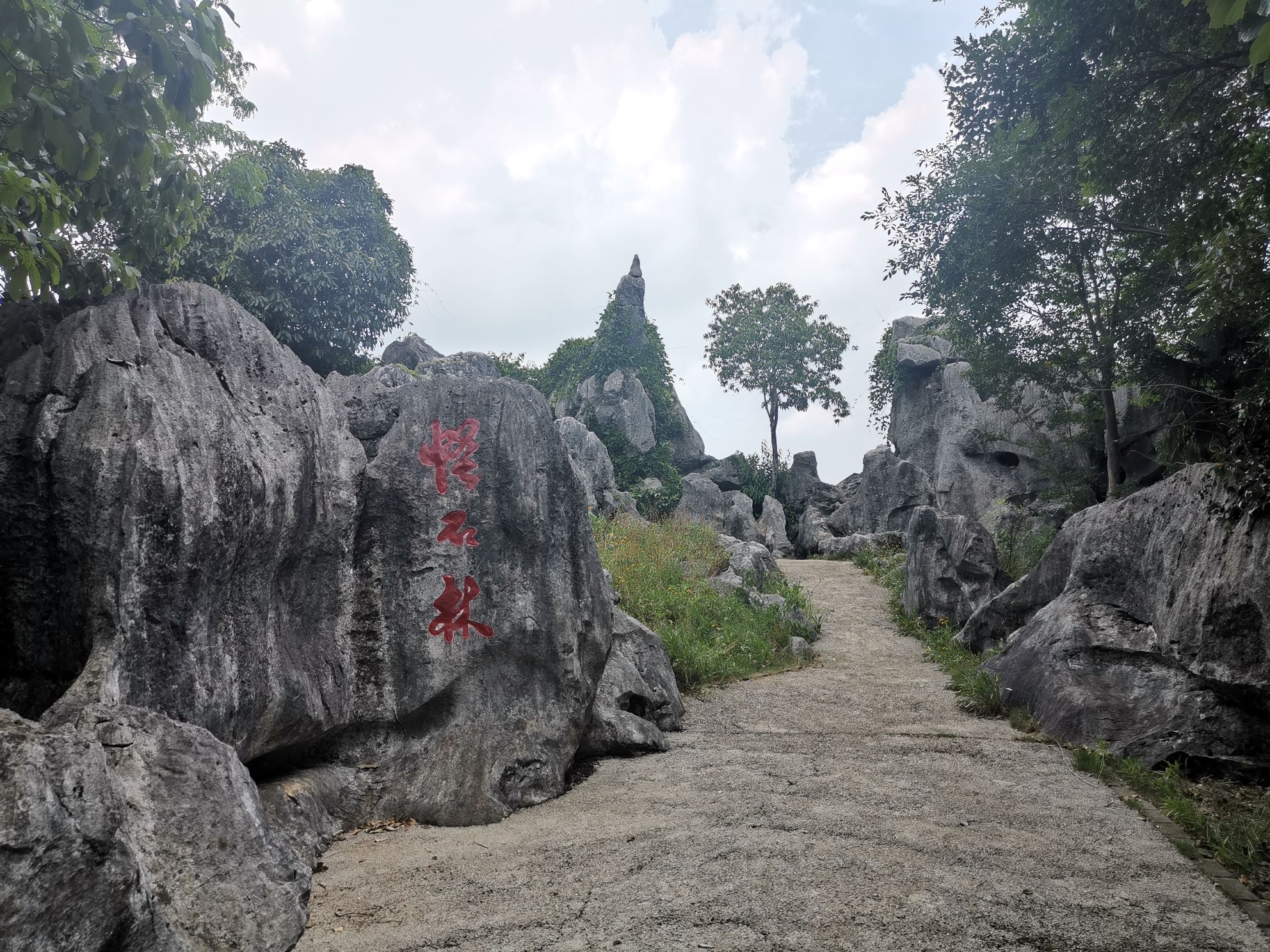 怪石林旅行图片 3