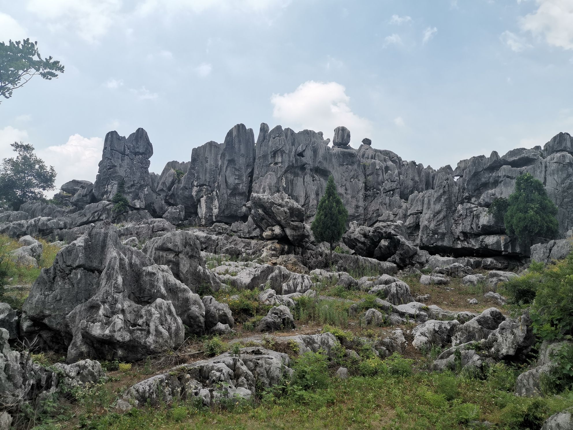 怪石林旅行图片 2