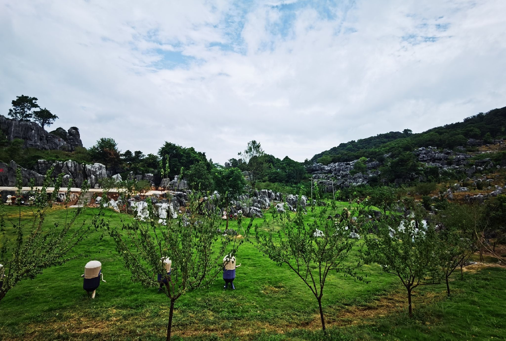 怪石林旅行图片 1