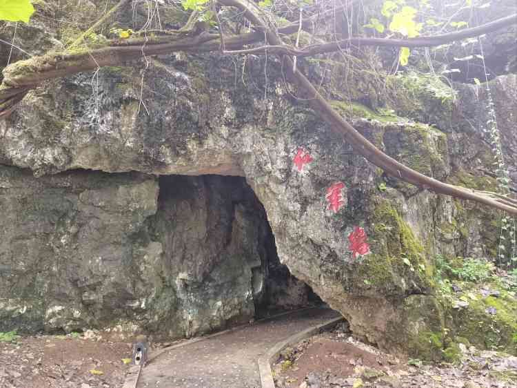 怪石林旅行图片 1