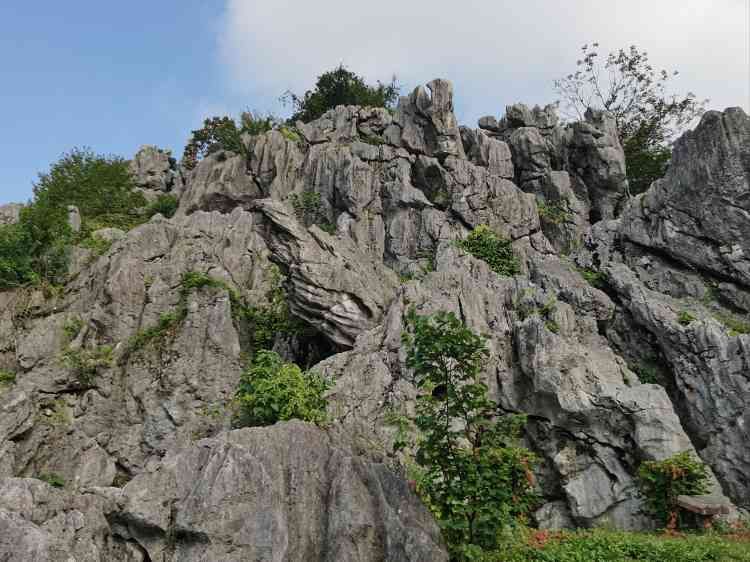怪石林旅行图片 2